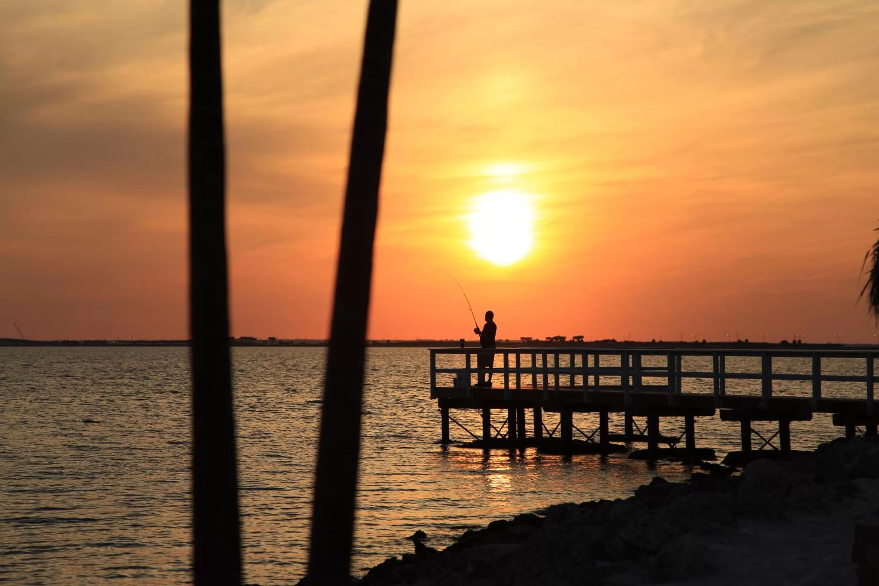 Fishing in Sailport Waterfront Suites