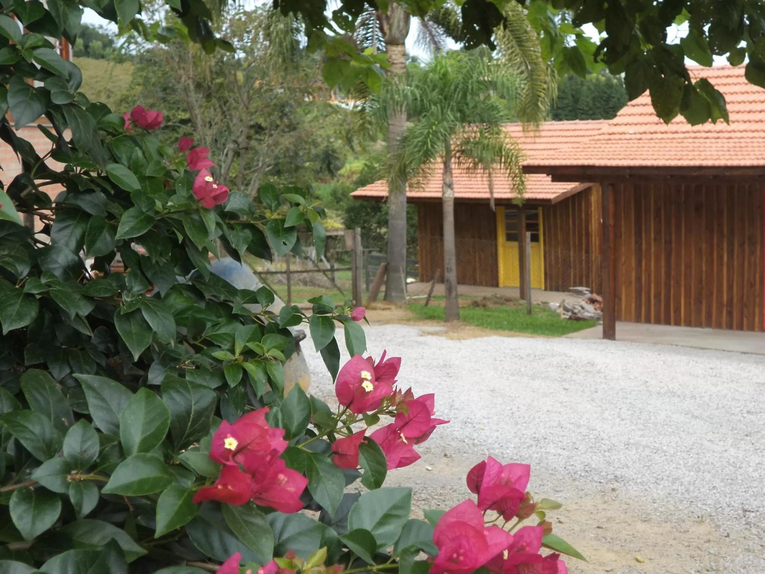 Garden in Afeto Pousada