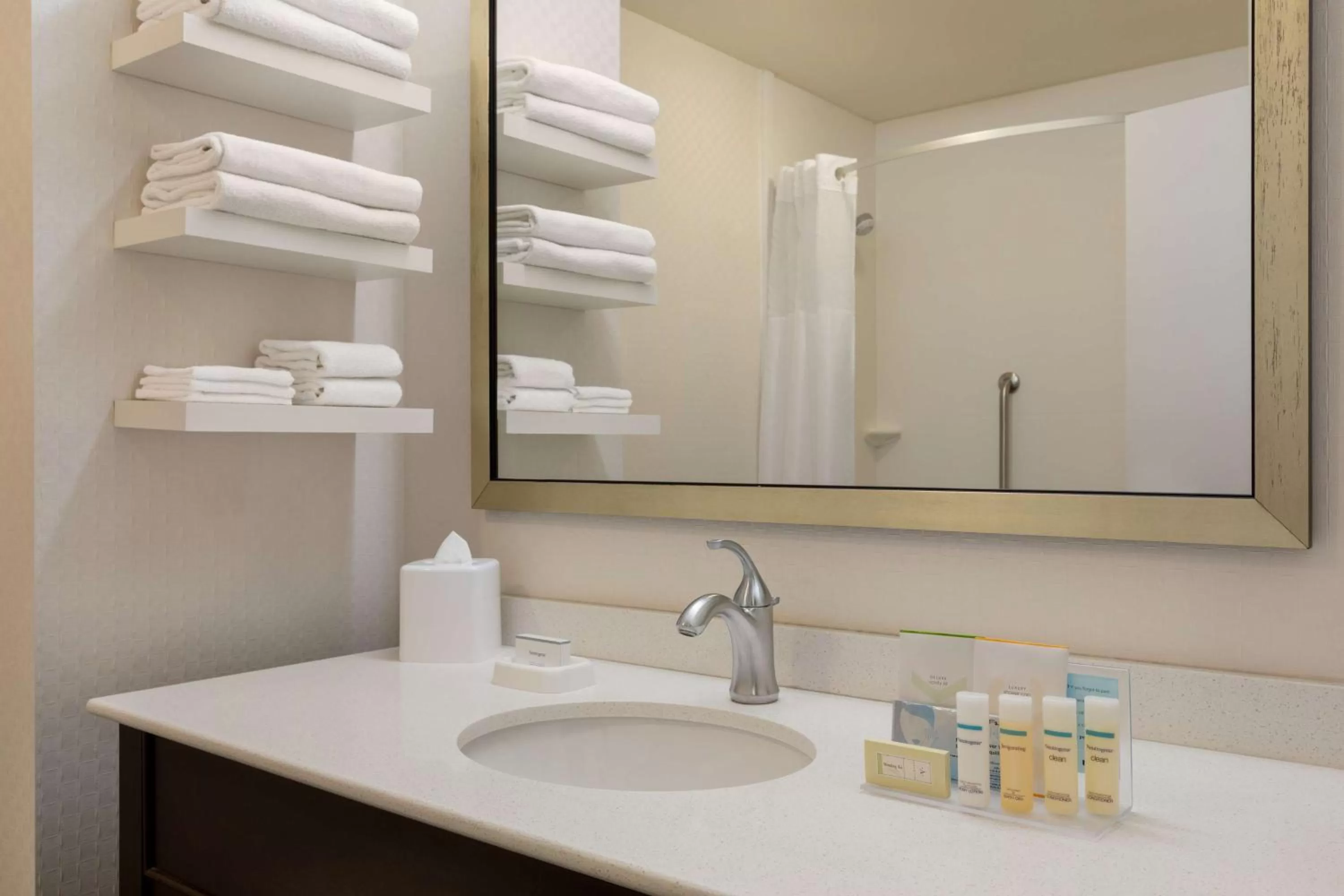 Bathroom in Hampton Inn & Suites - Roanoke-Downtown, VA