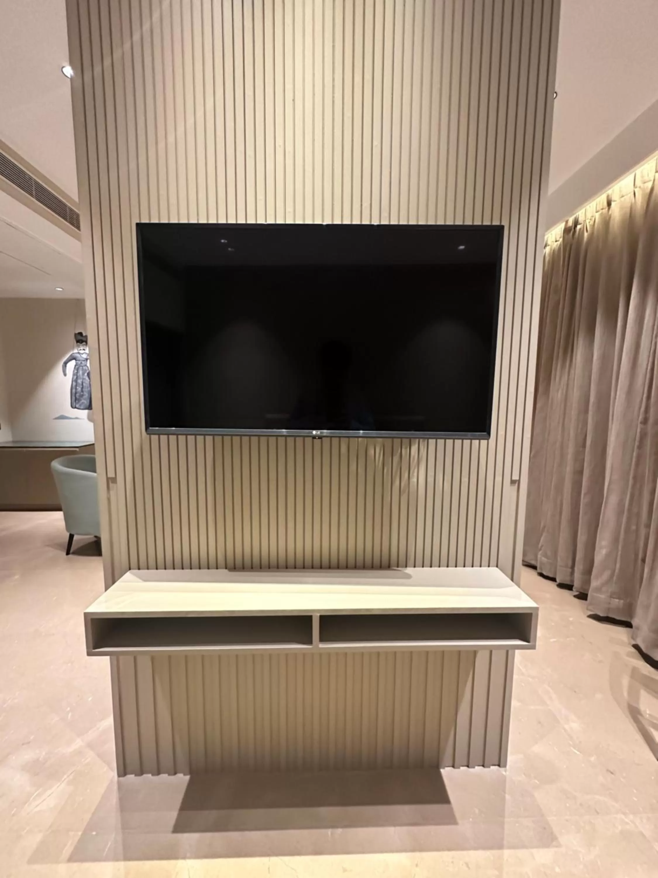 TV and multimedia in Hotel Bawa Udaipur