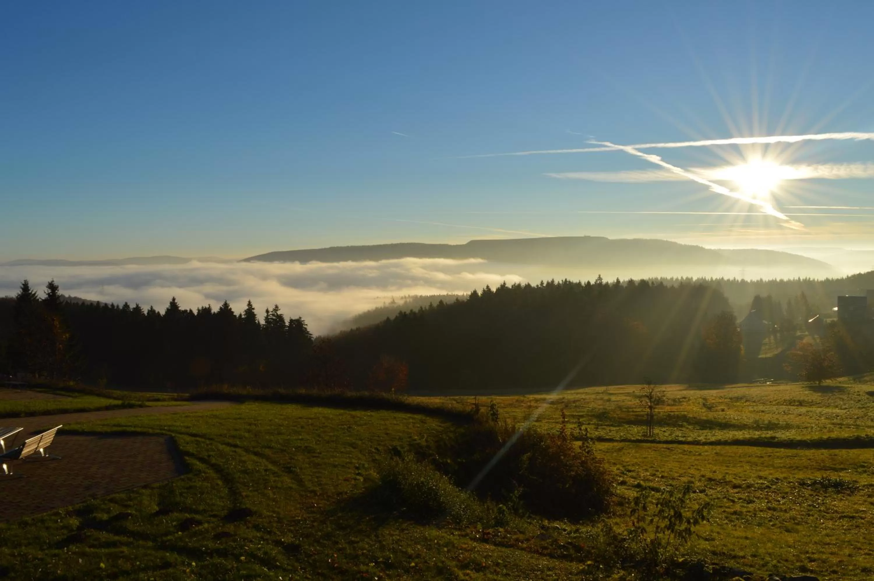 Natural landscape in Hotel Auerhahn