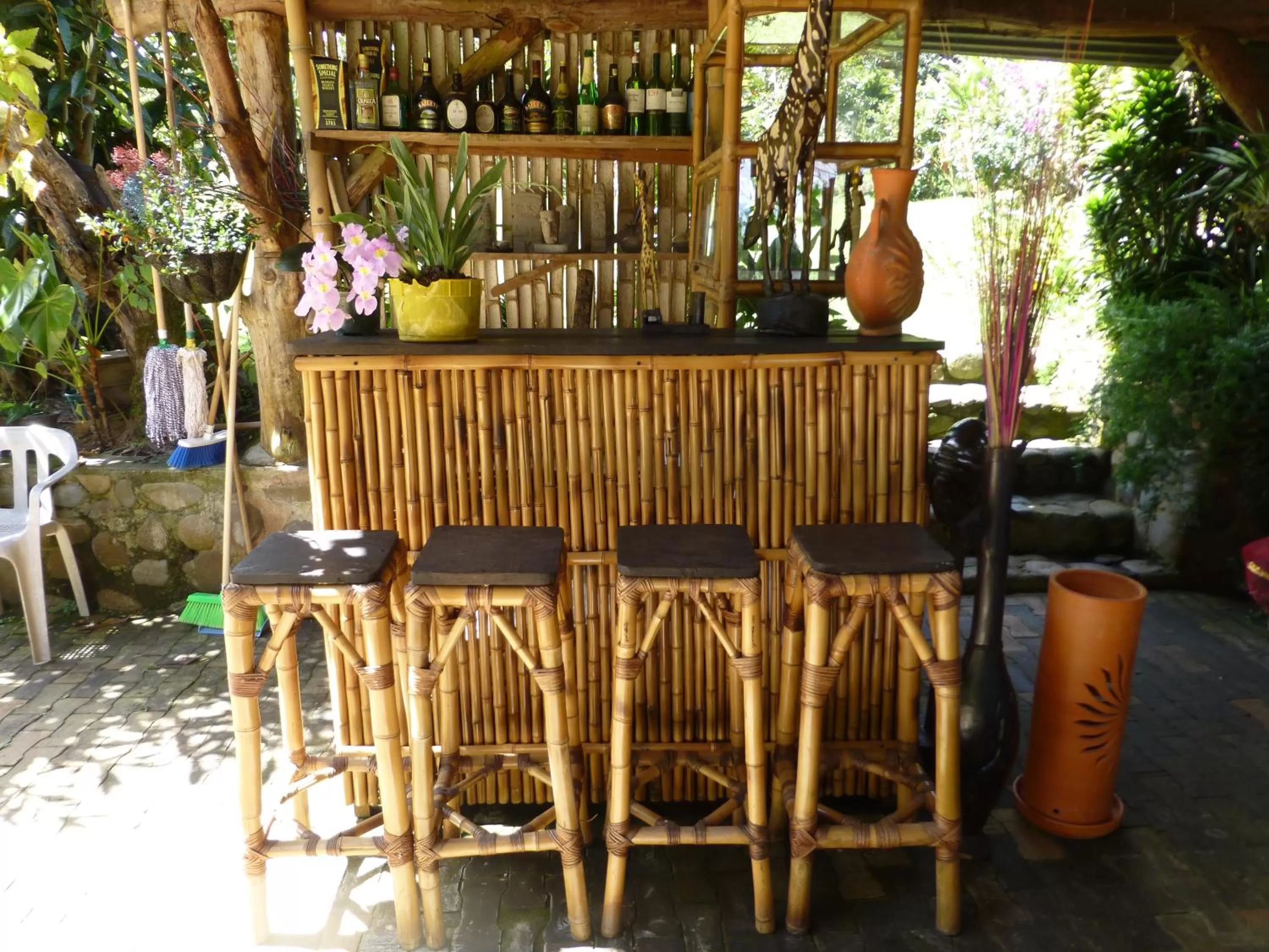 Lounge or bar, Lounge/Bar in Finca El Cielo