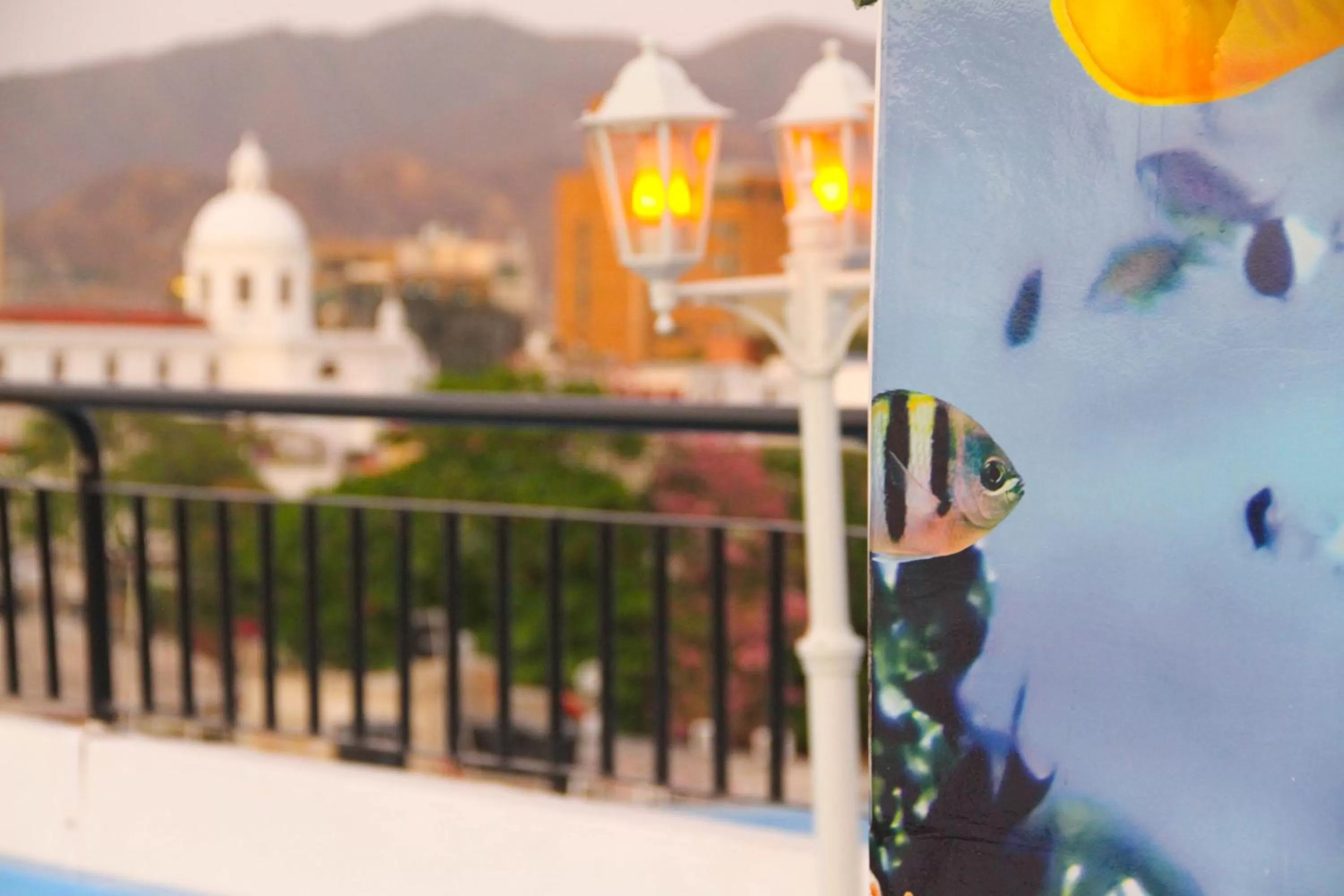 Natural landscape in Hotel Parque de los Novios Inn