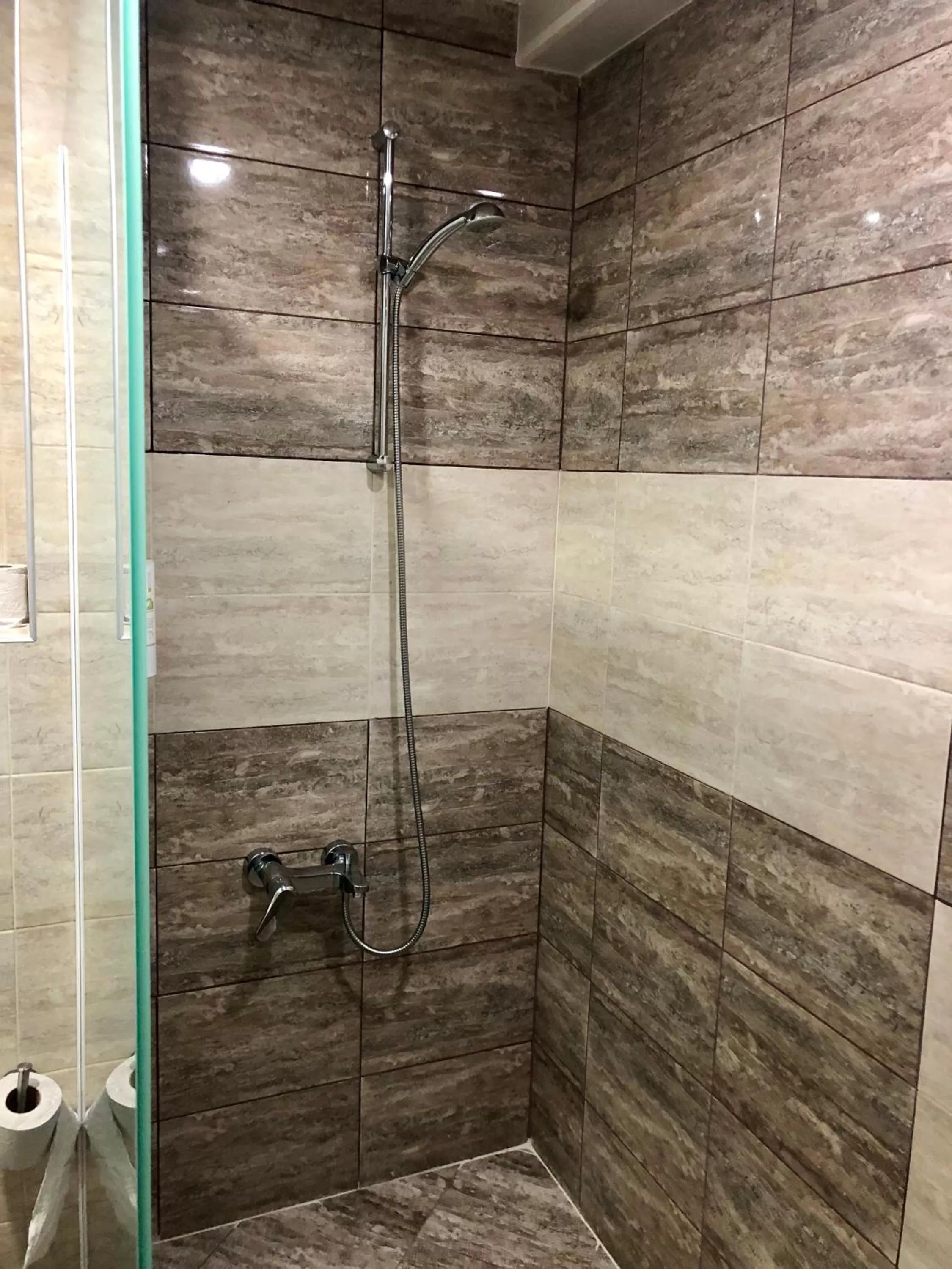 Shower, Bathroom in Hotel & Casino Ring