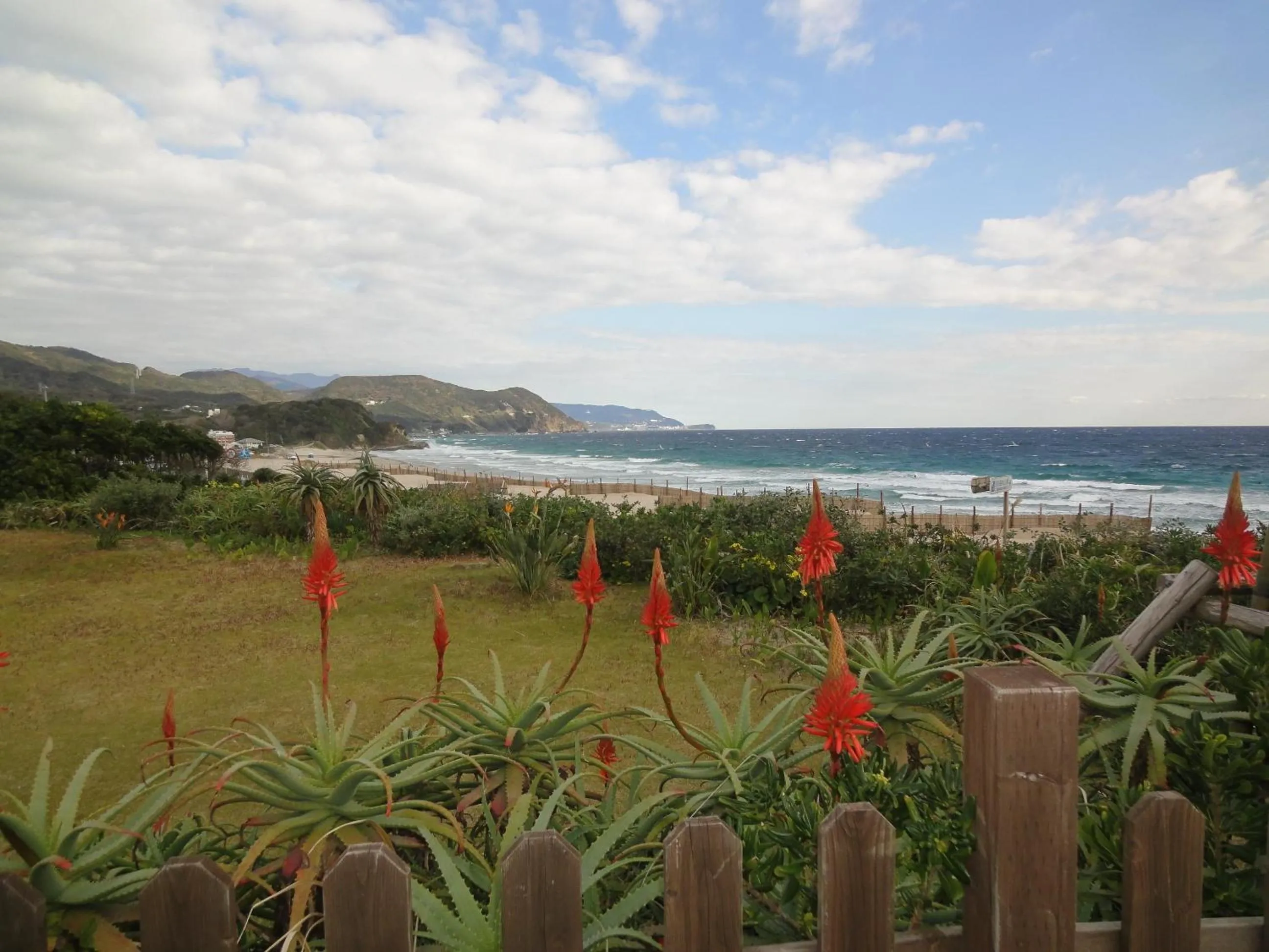 Garden in Hotel Izukyu