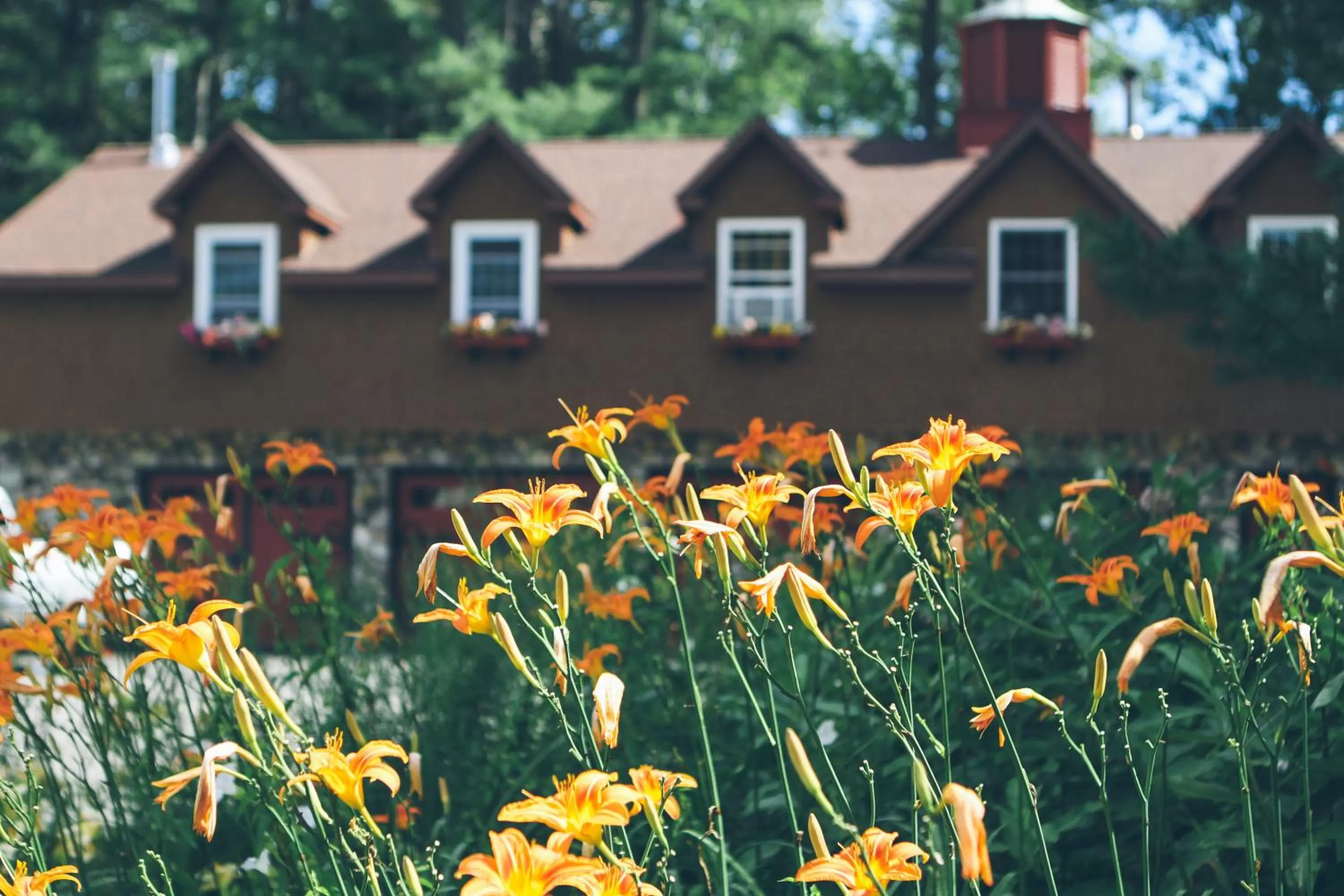 Property building in Old Saco Inn