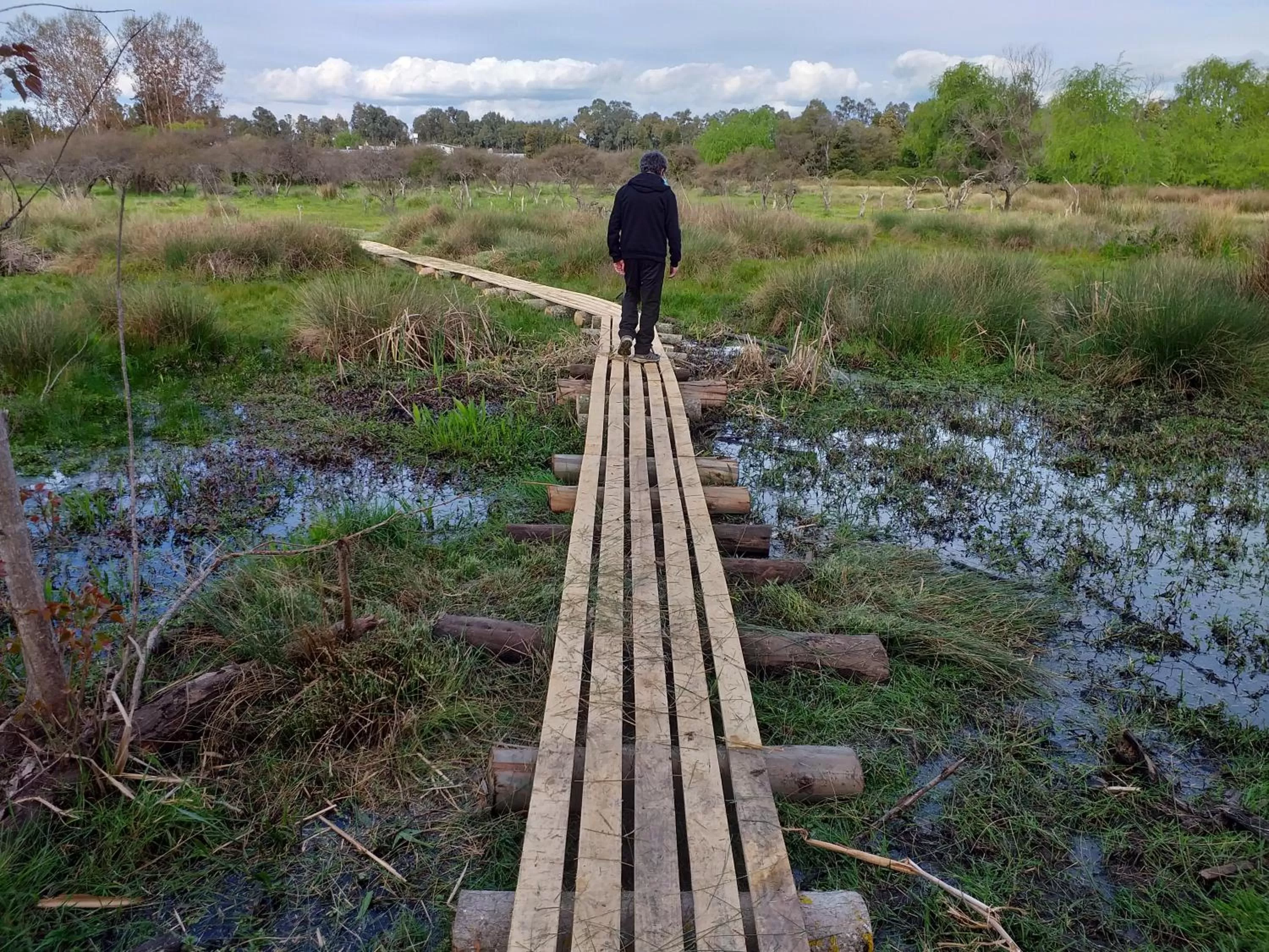 Other Animals in La Casa de Adobe Natural y Más