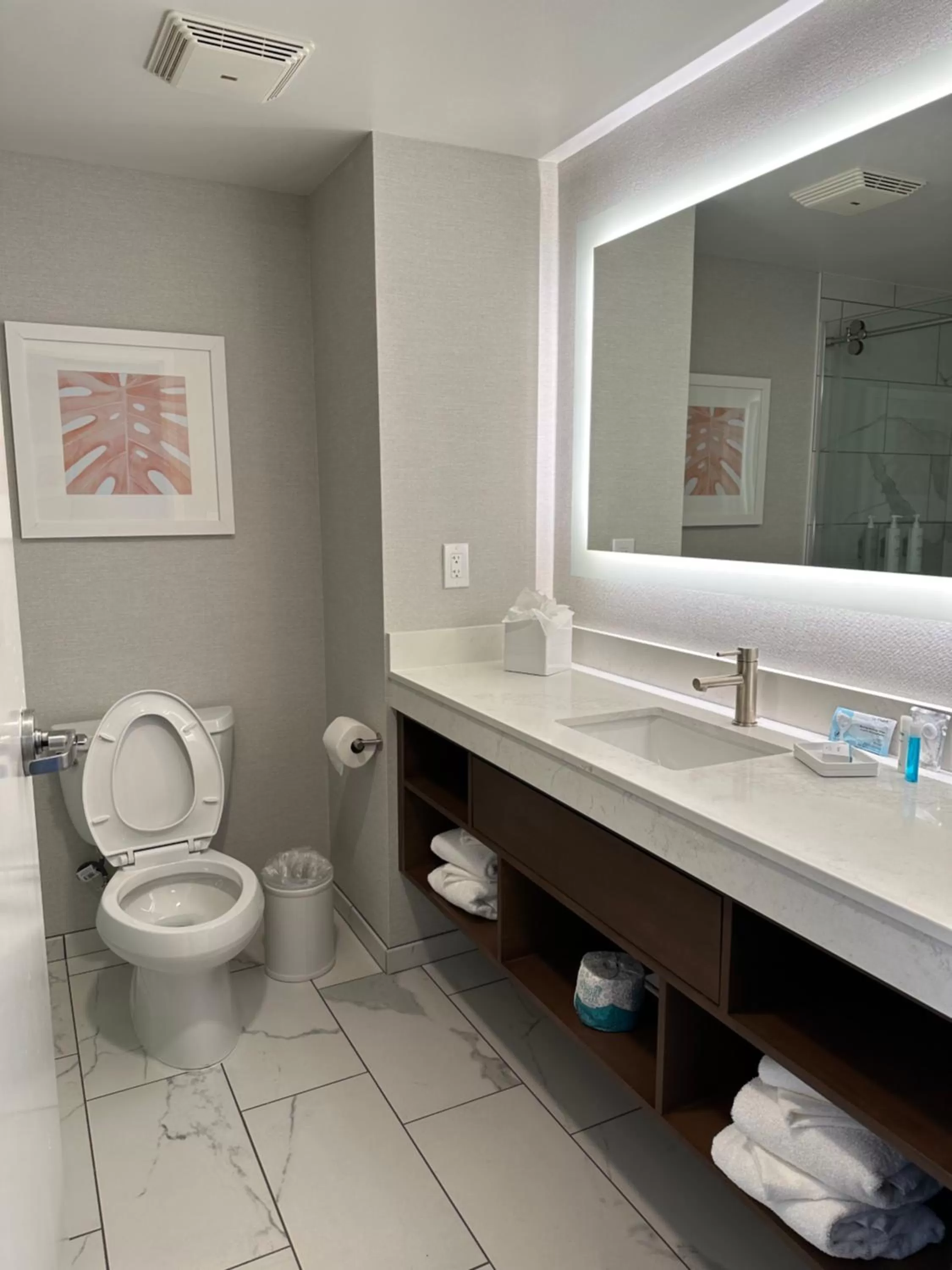 Toilet in Hampton Inn Virginia Beach-Oceanfront South
