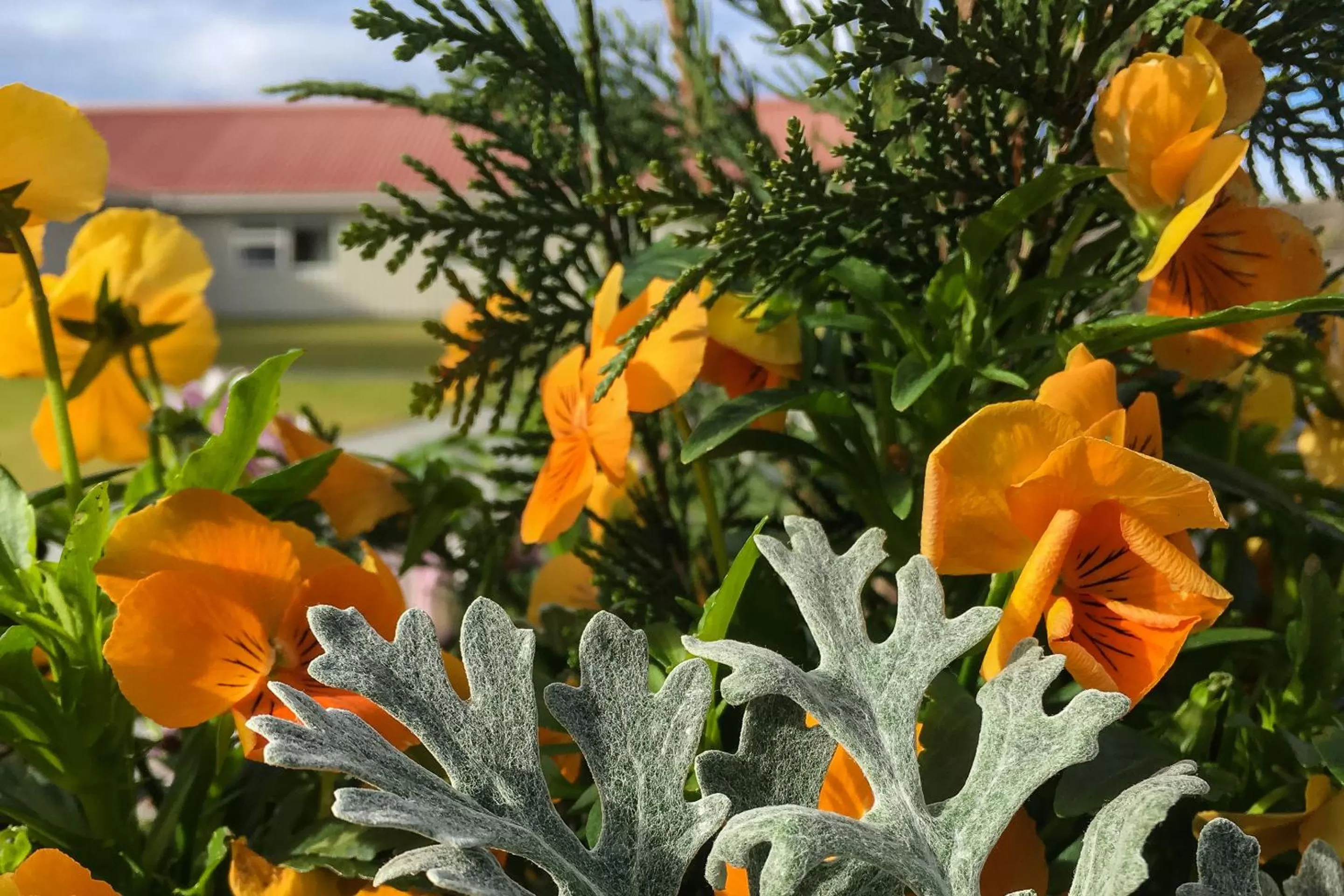 Property building in Northern Light Inn