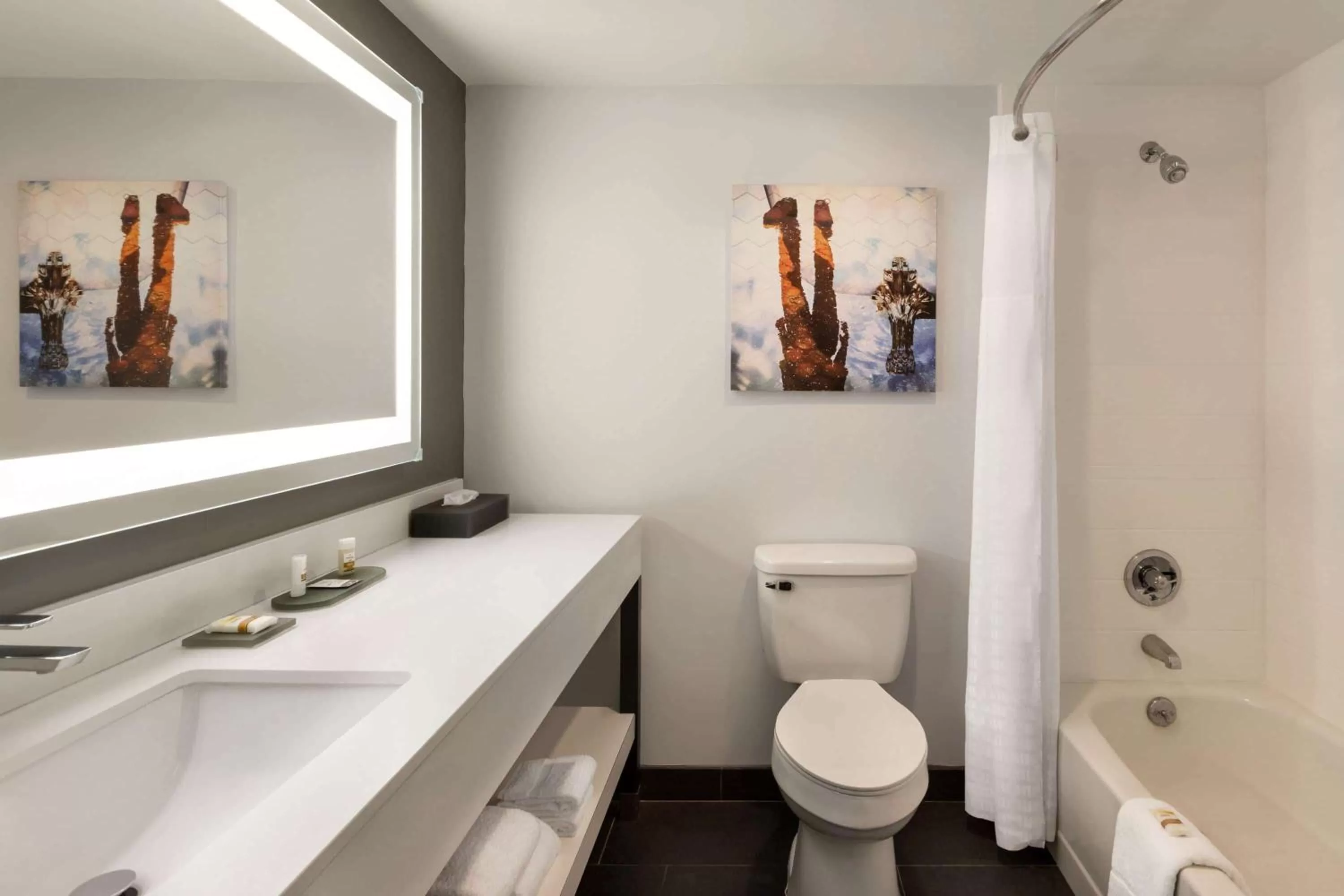 Bathroom in La Quinta inn & suites by Wyndham Dothan