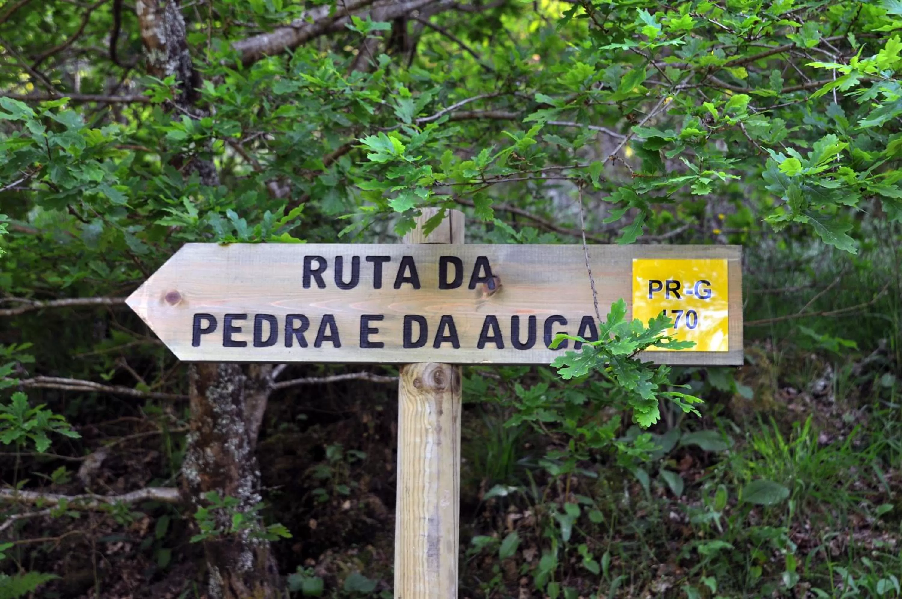 Nearby landmark in Parador de Cambados