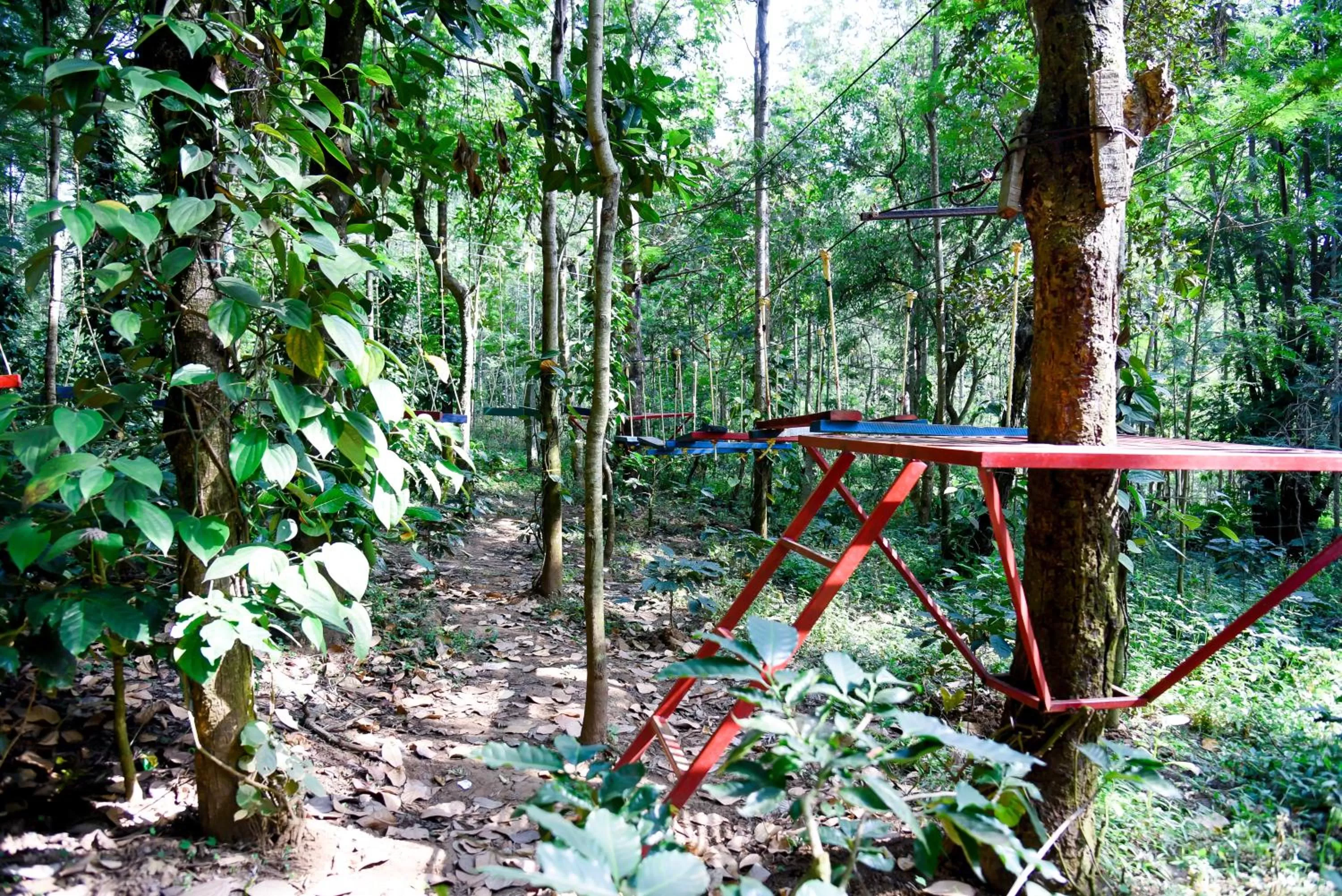 Children play ground in The Spectrum Resort, Chikmagalur