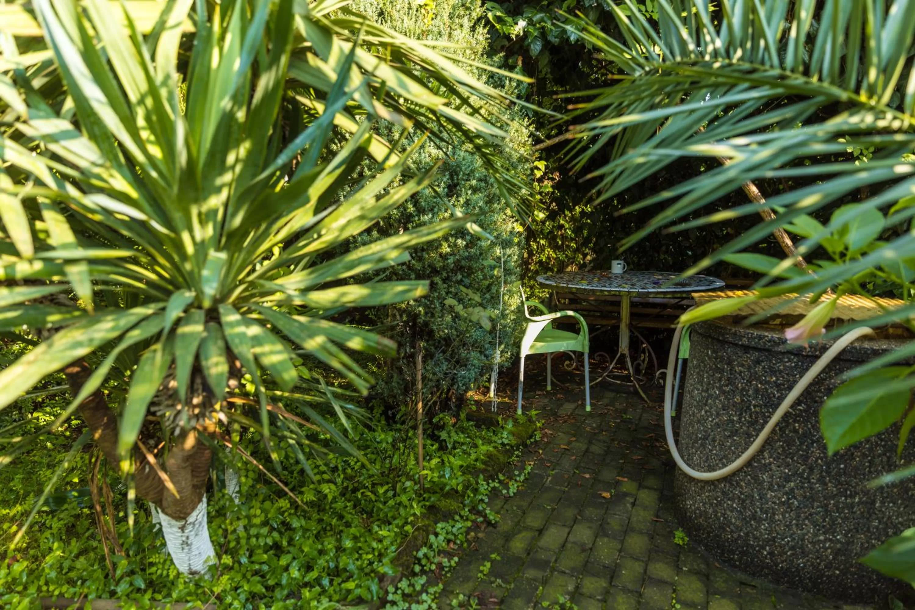 Patio, Garden in TJ GARDENS
