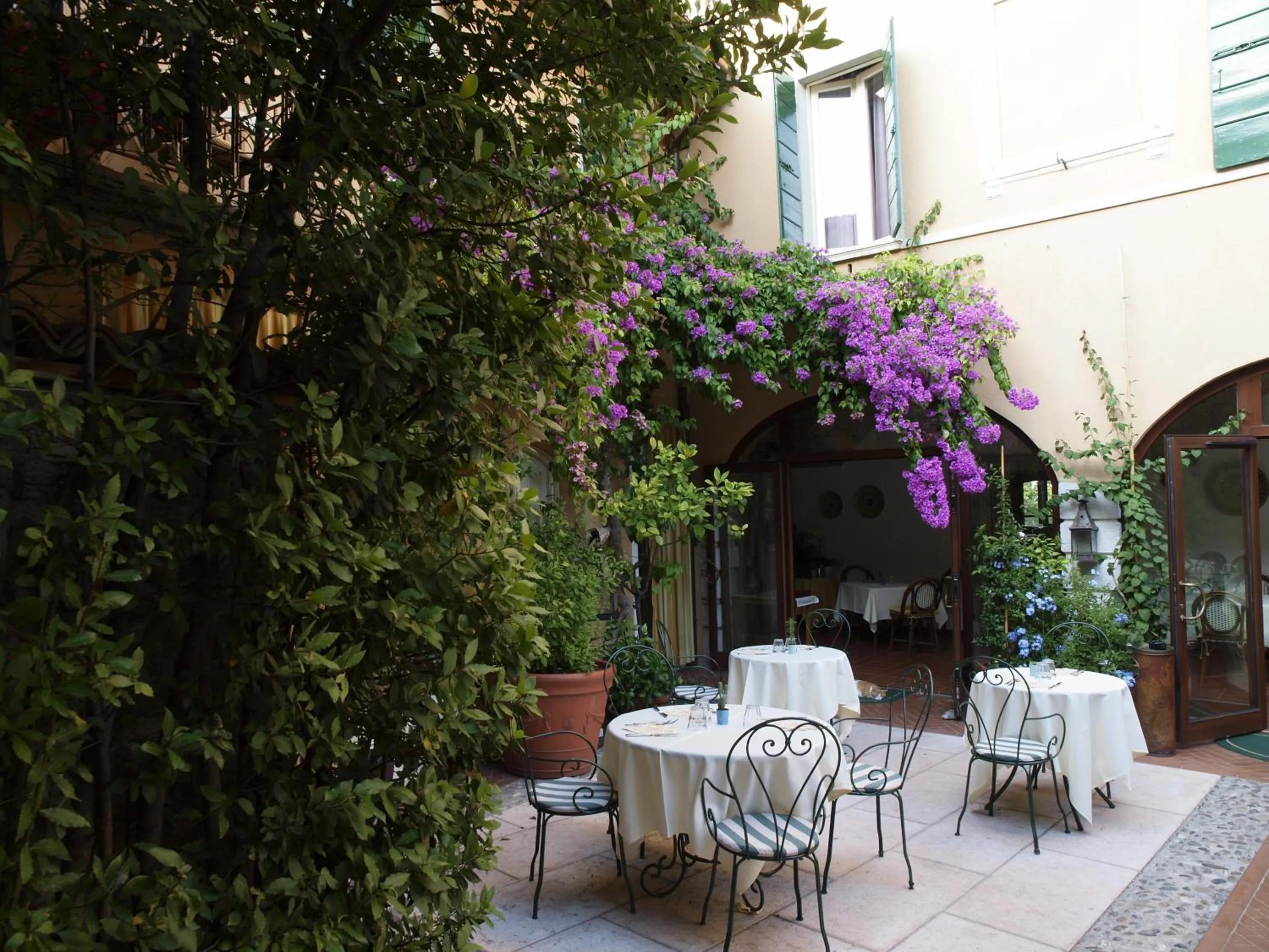 Restaurant/places to eat in Hotel San Filis