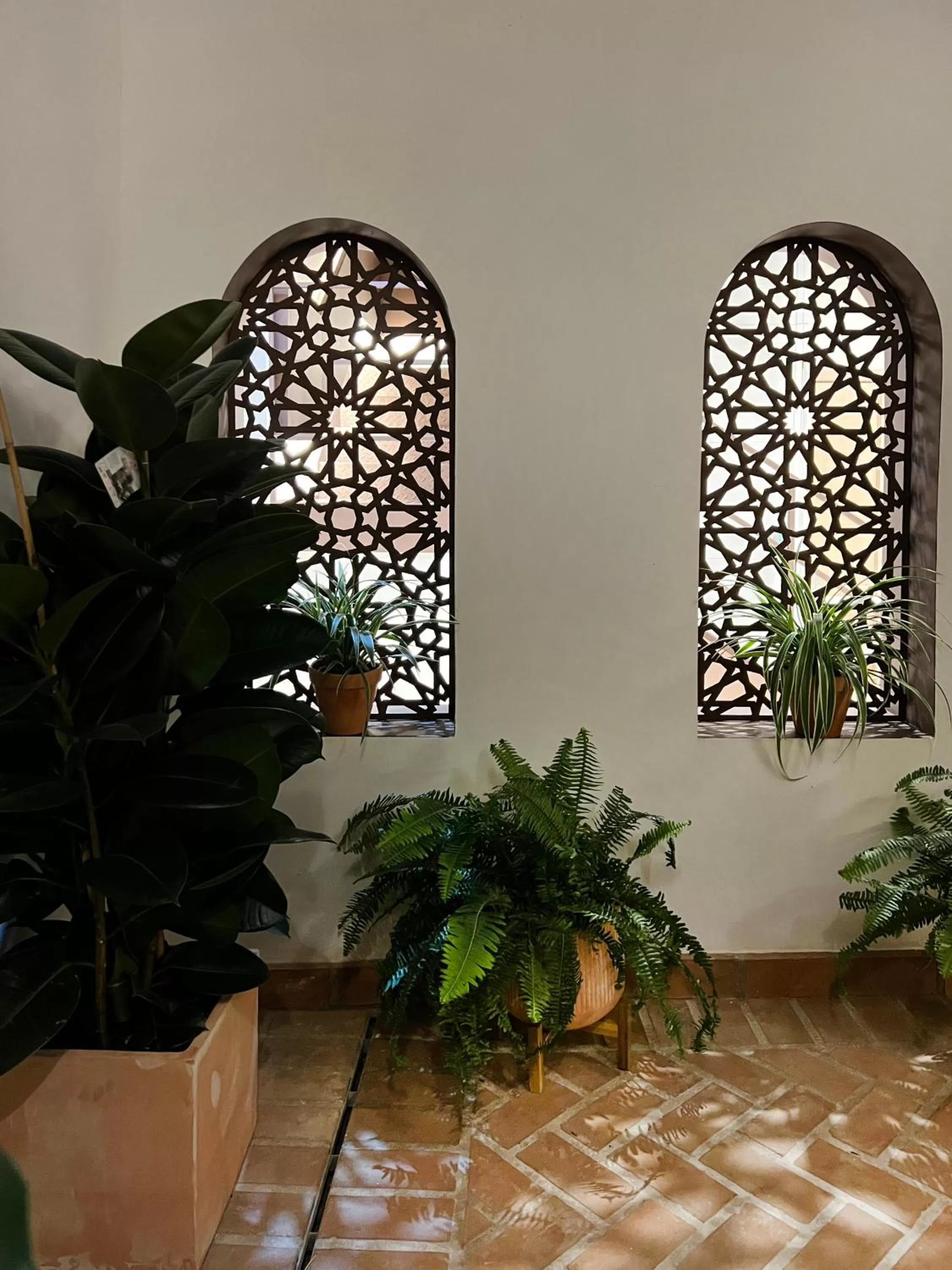 Arcos de Medina - Apartamentos premium