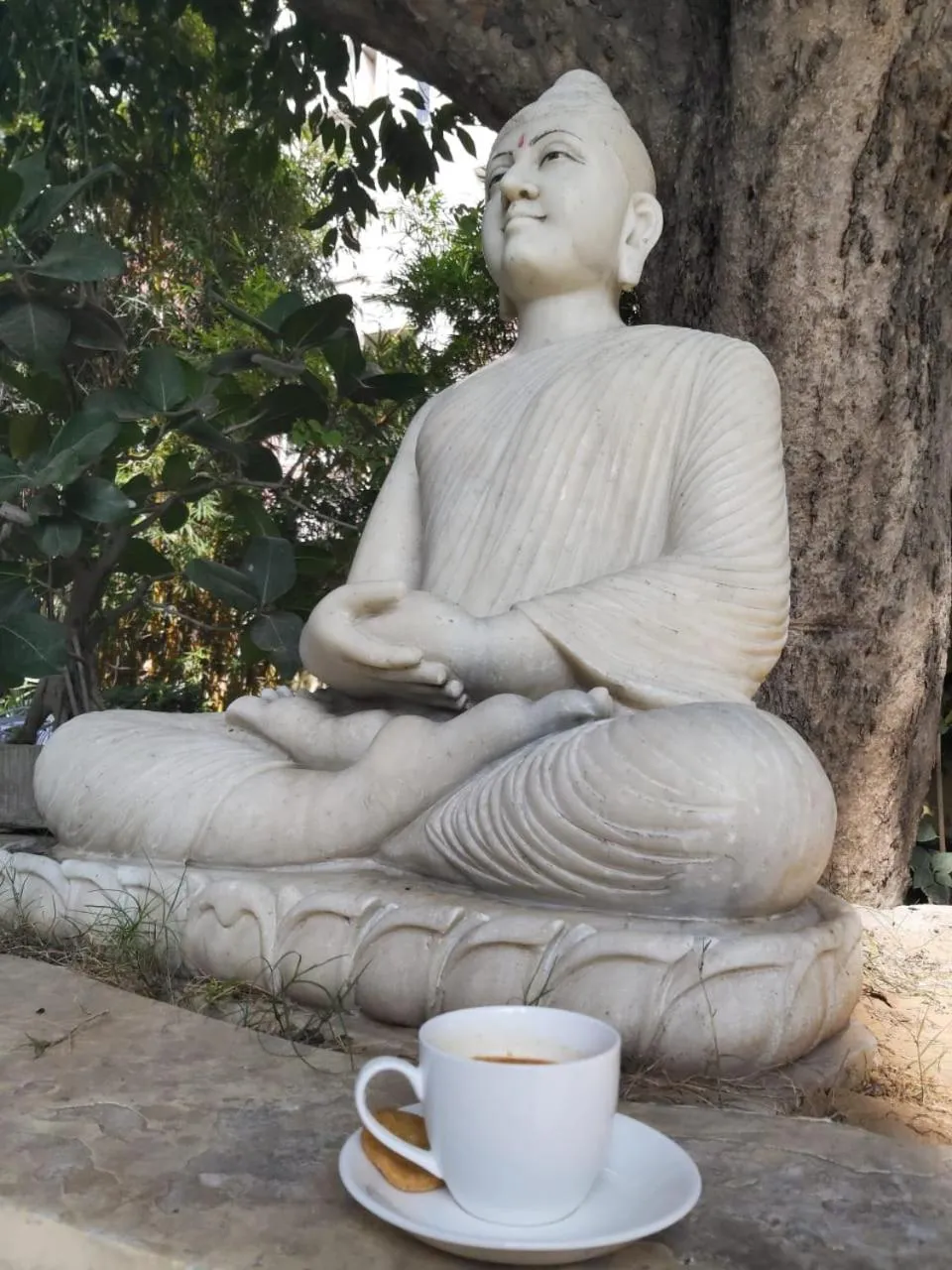 Property building in Anuraag Villa