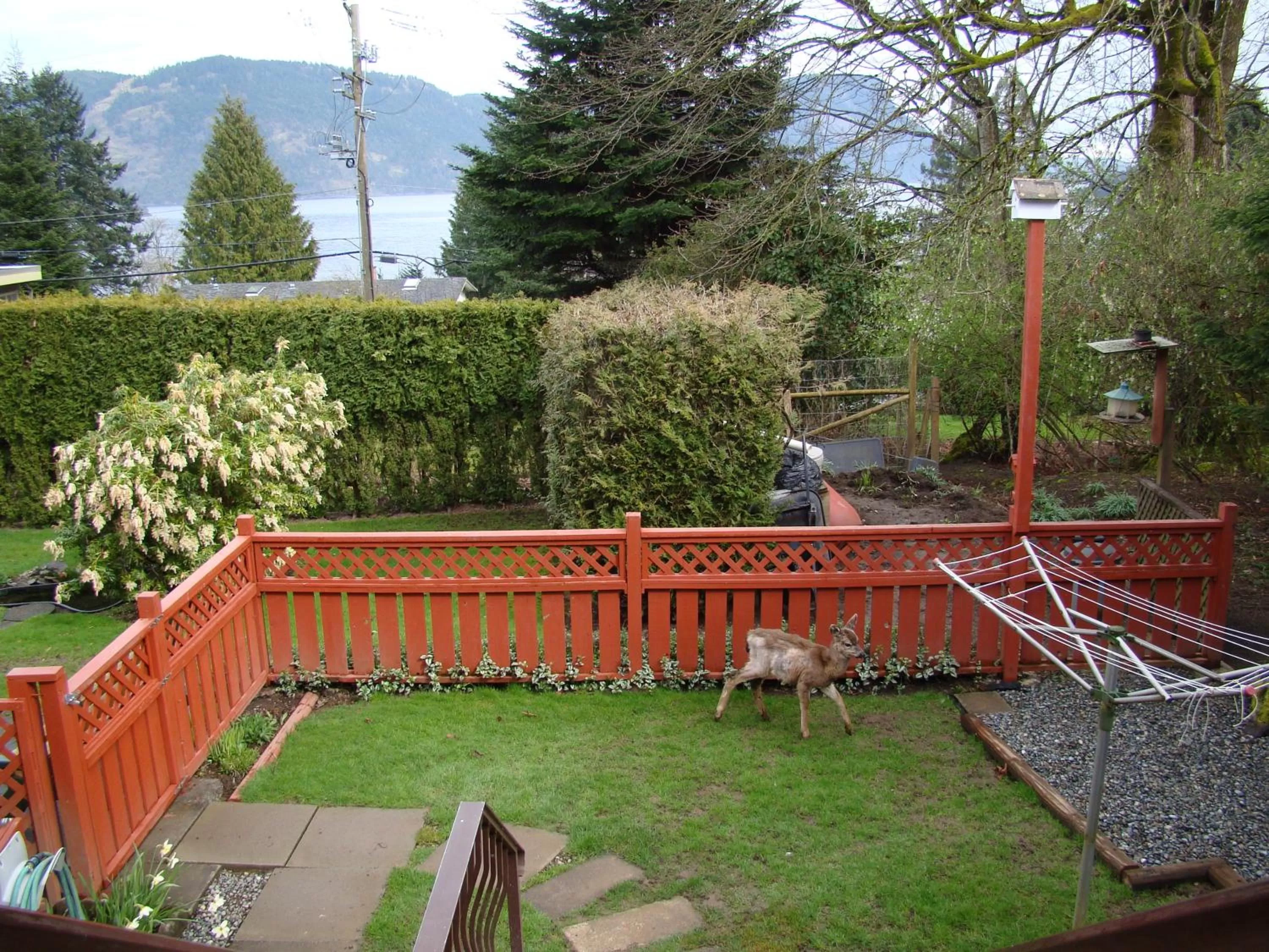 View (from property/room) in Hummers Haven Bed and Breakfast