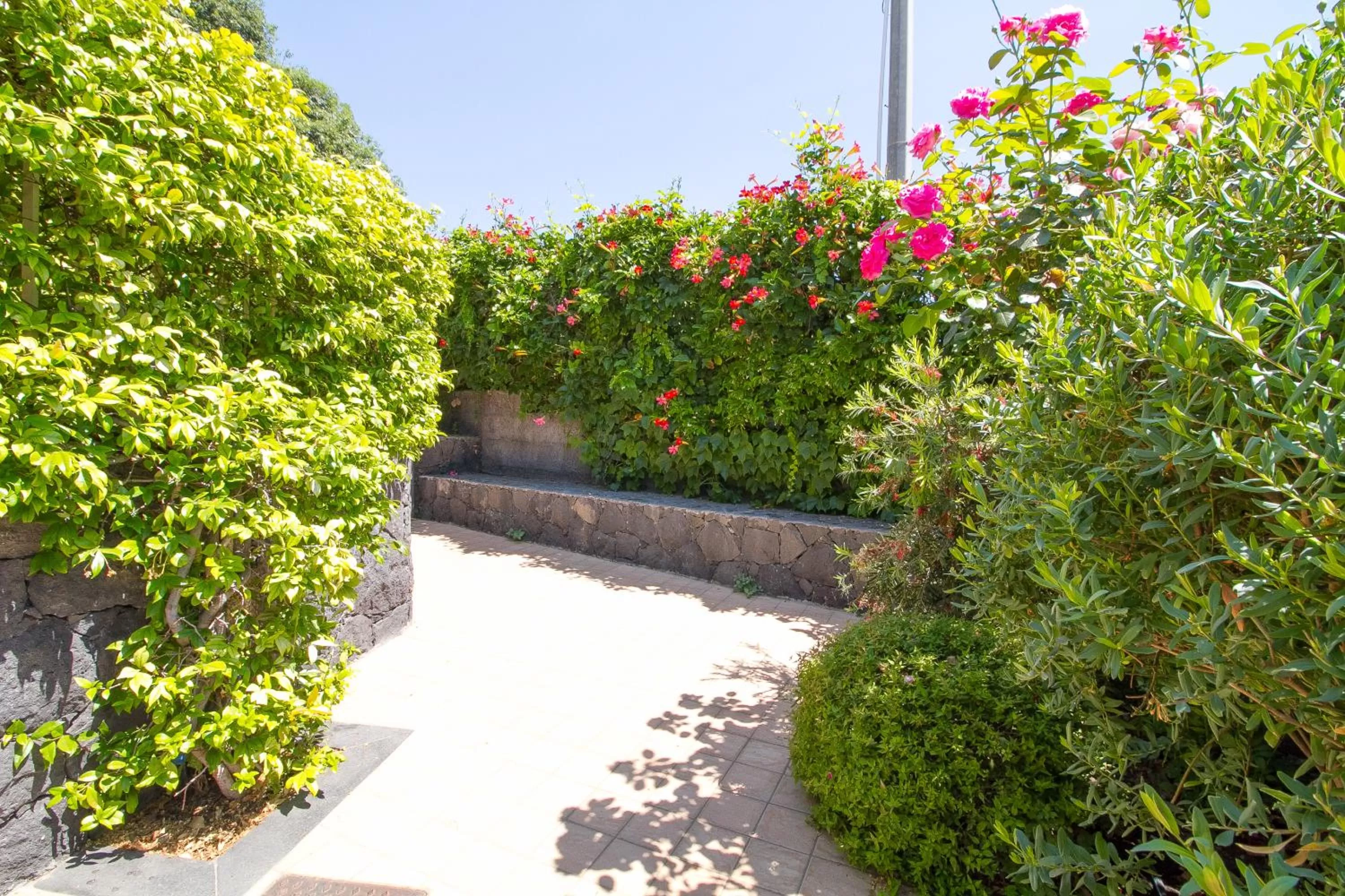 Patio in Etna Royal View