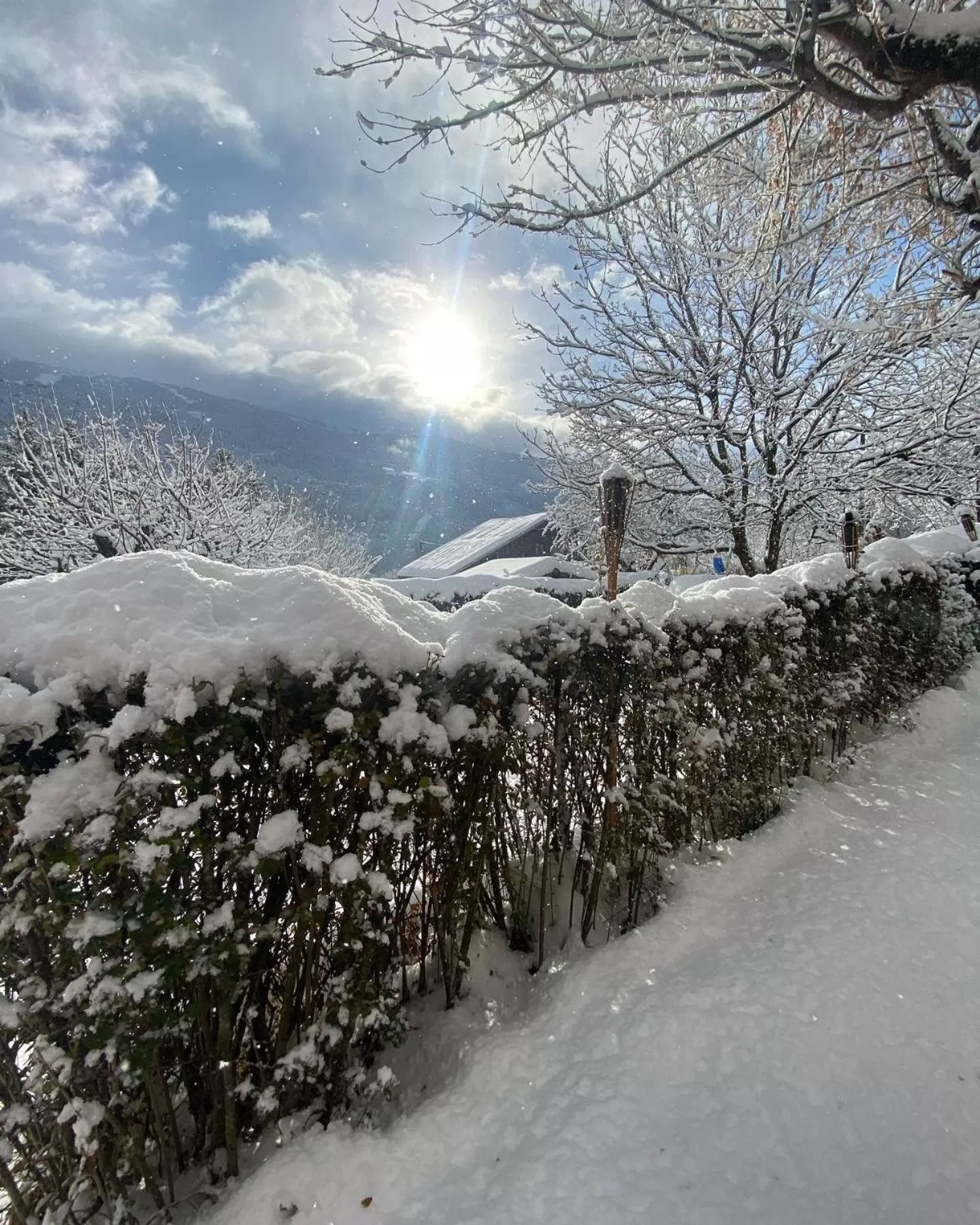 Patio in Hôtel Restaurant "La Petite Auberge"