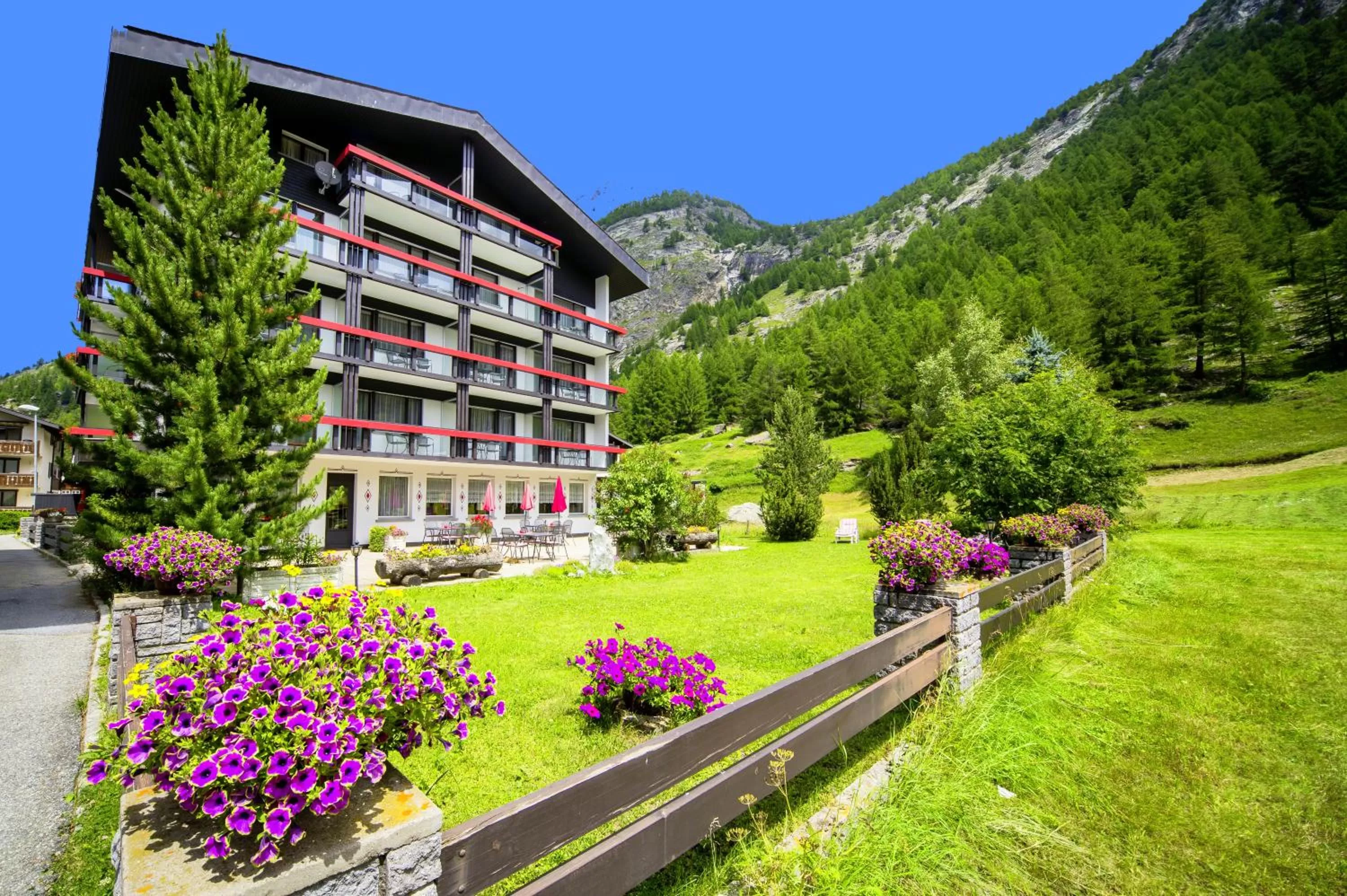 Summer in Hotel Alpenhof