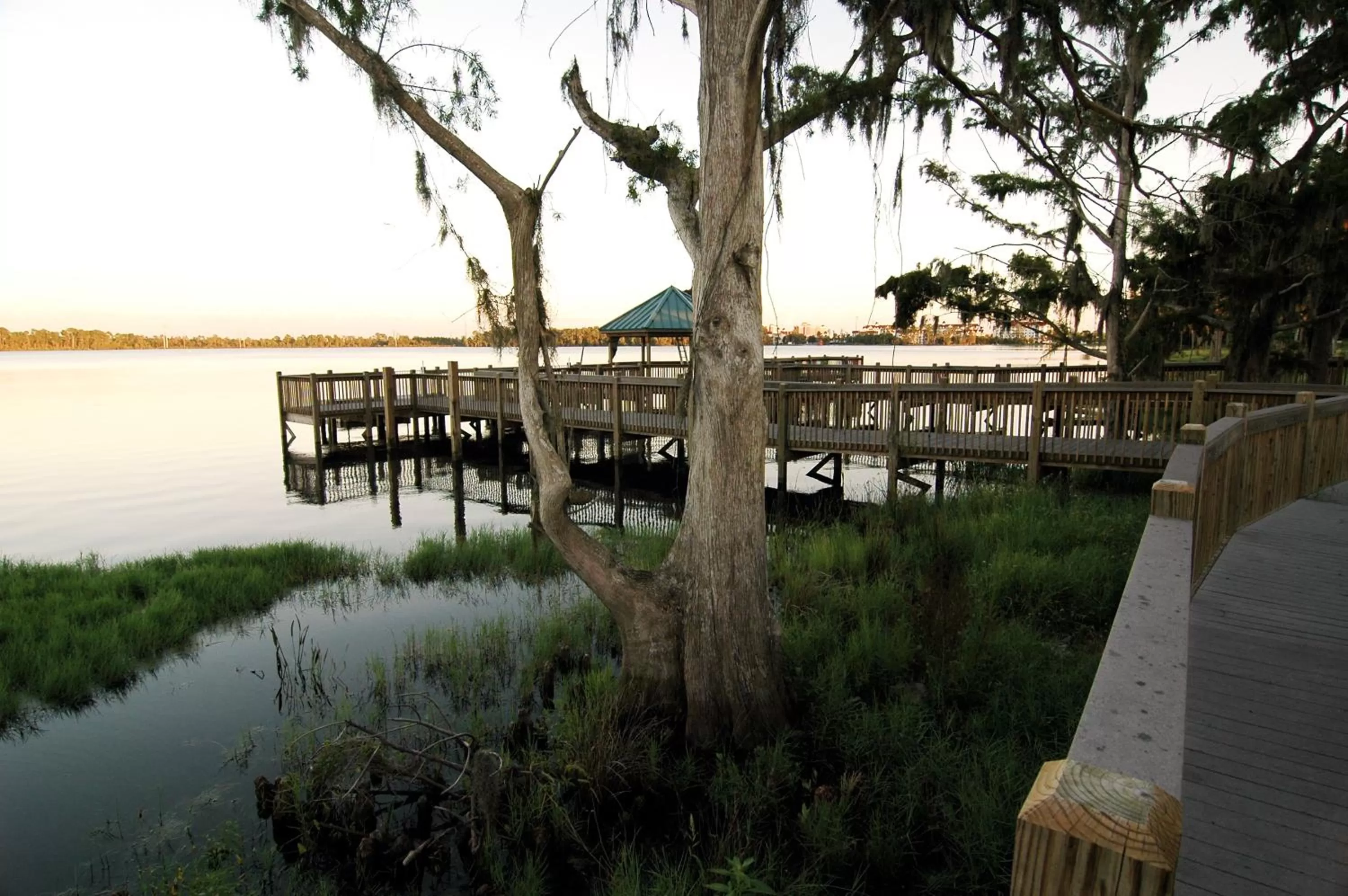 Swimming pool in Blue Heron Beach Resort