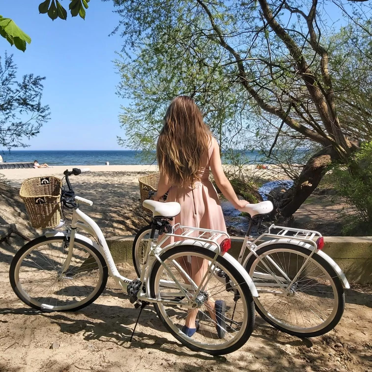 Activities in AQUA HOUSE