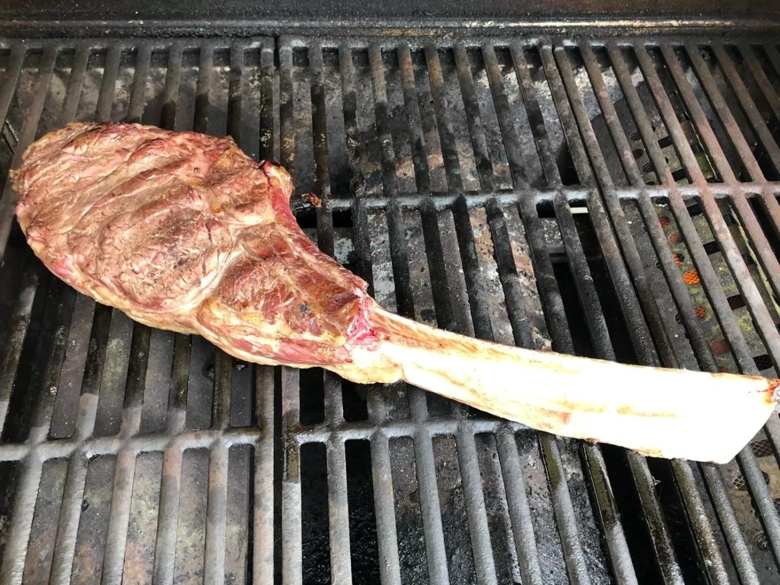 Lunch, Other Animals in Casa Oceana Bed & Breakfast