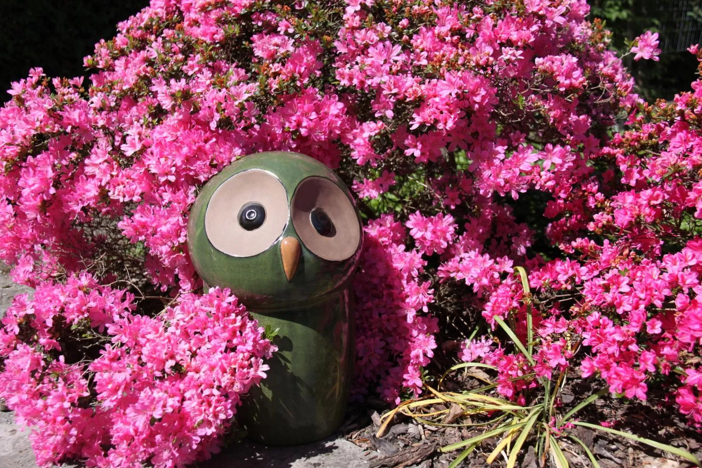 Garden in mein kleinHOTEL