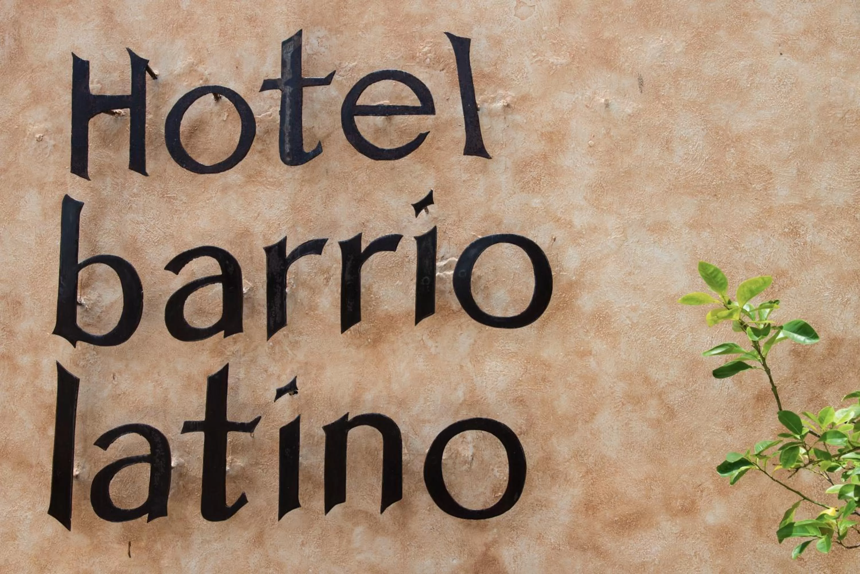 Decorative detail in Hotel Barrio Latino