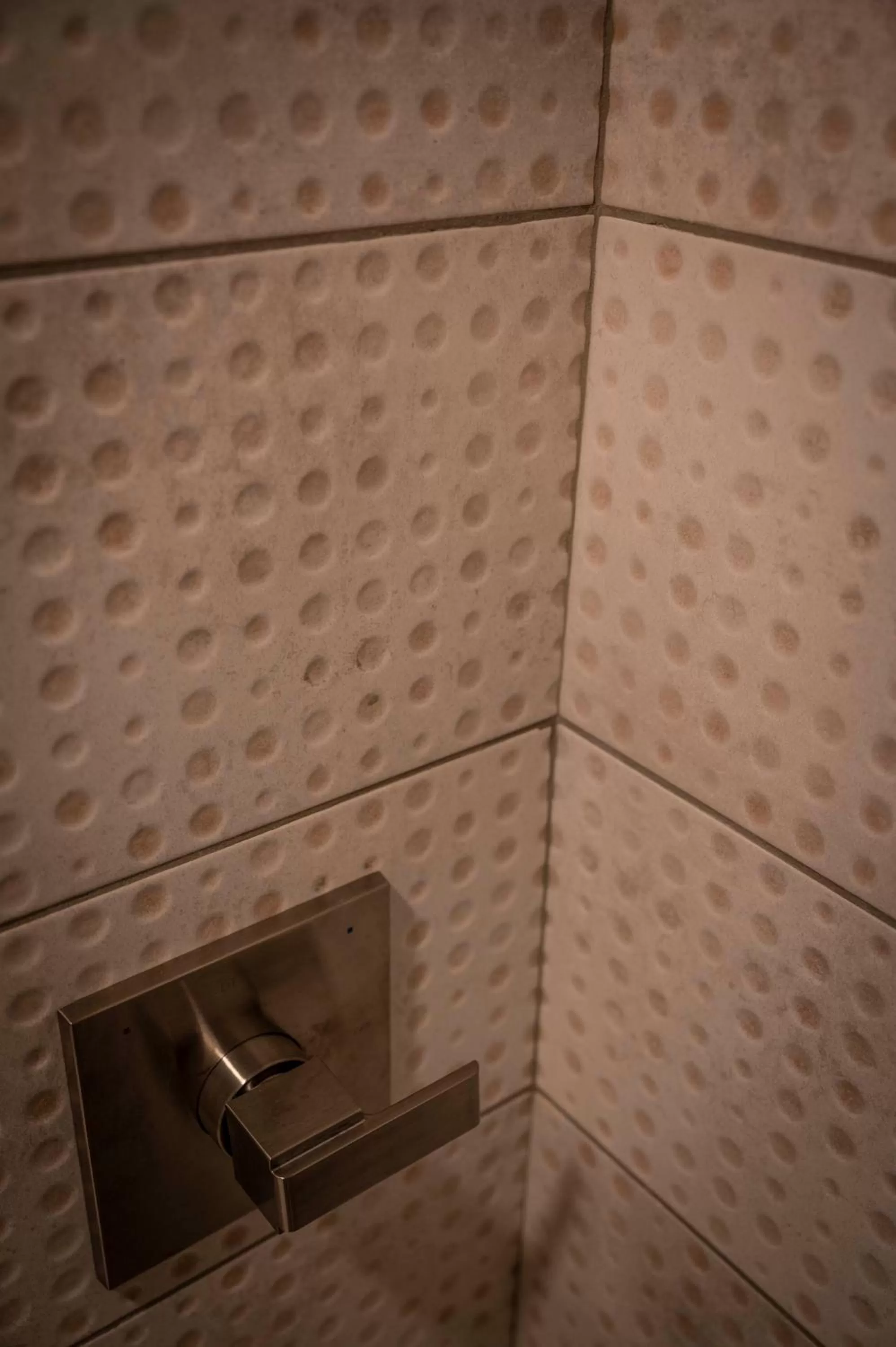 Shower in Hotel Broad Ripple