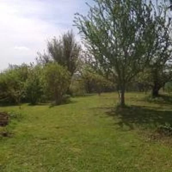 Garden in Manoir Le Cristal - Futuroscope a petit prix , grandes chambres familiales 5-6 personnes ,