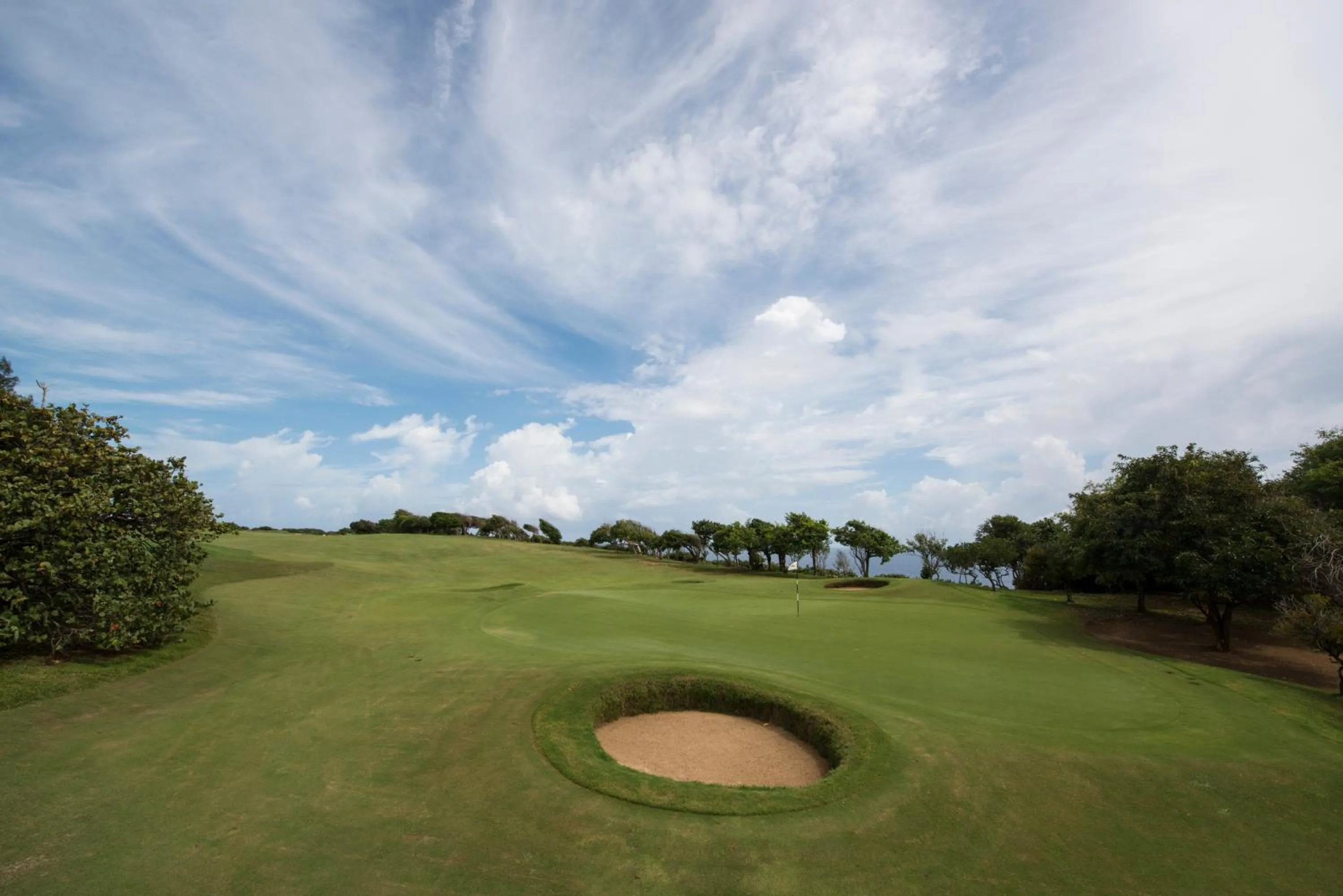 Day in Royal Isabela