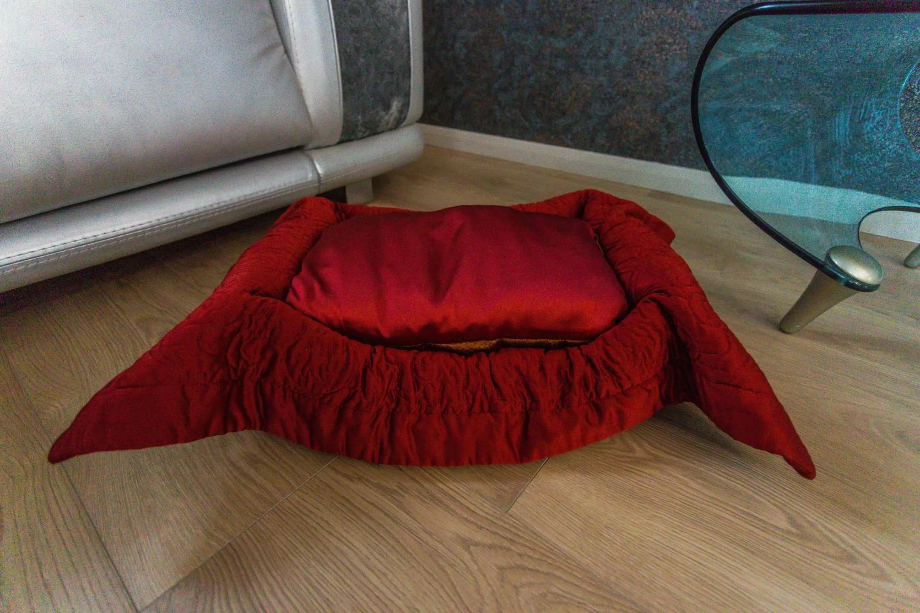 Pets, Bed in Hotel "Mandarin Clubhouse"