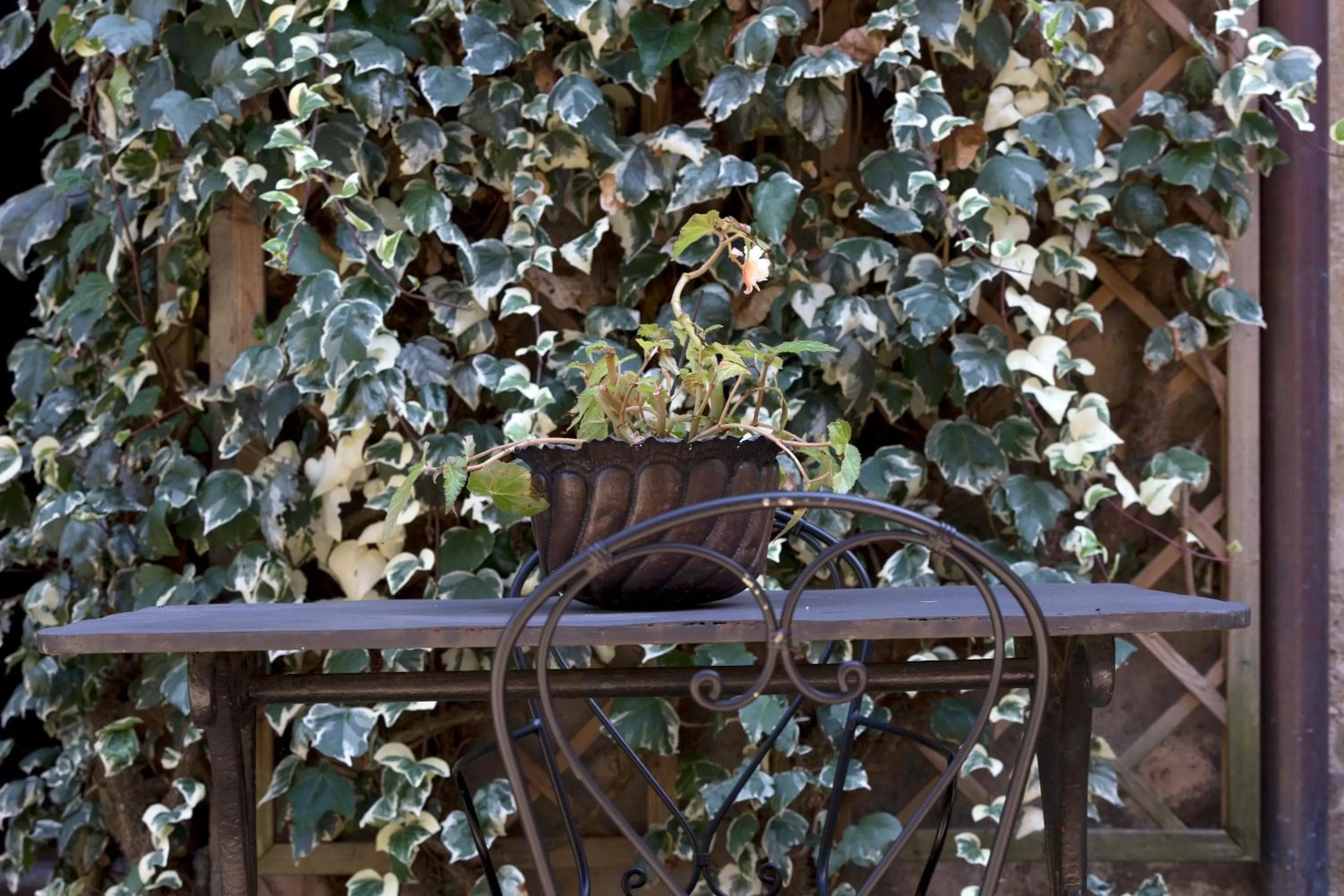 Hotel Locanda Dei Mai Intees