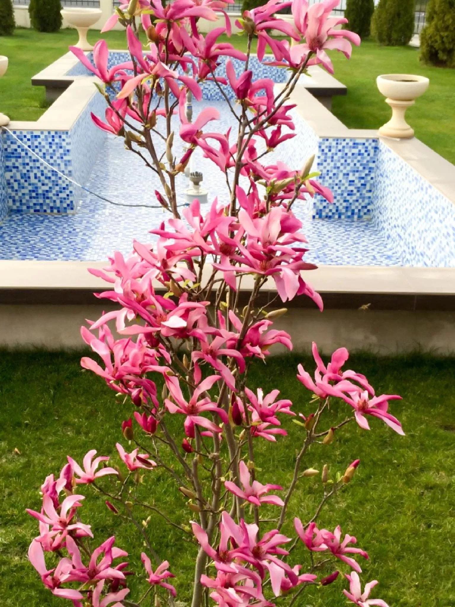 Decorative detail, Garden in Laura Holiday