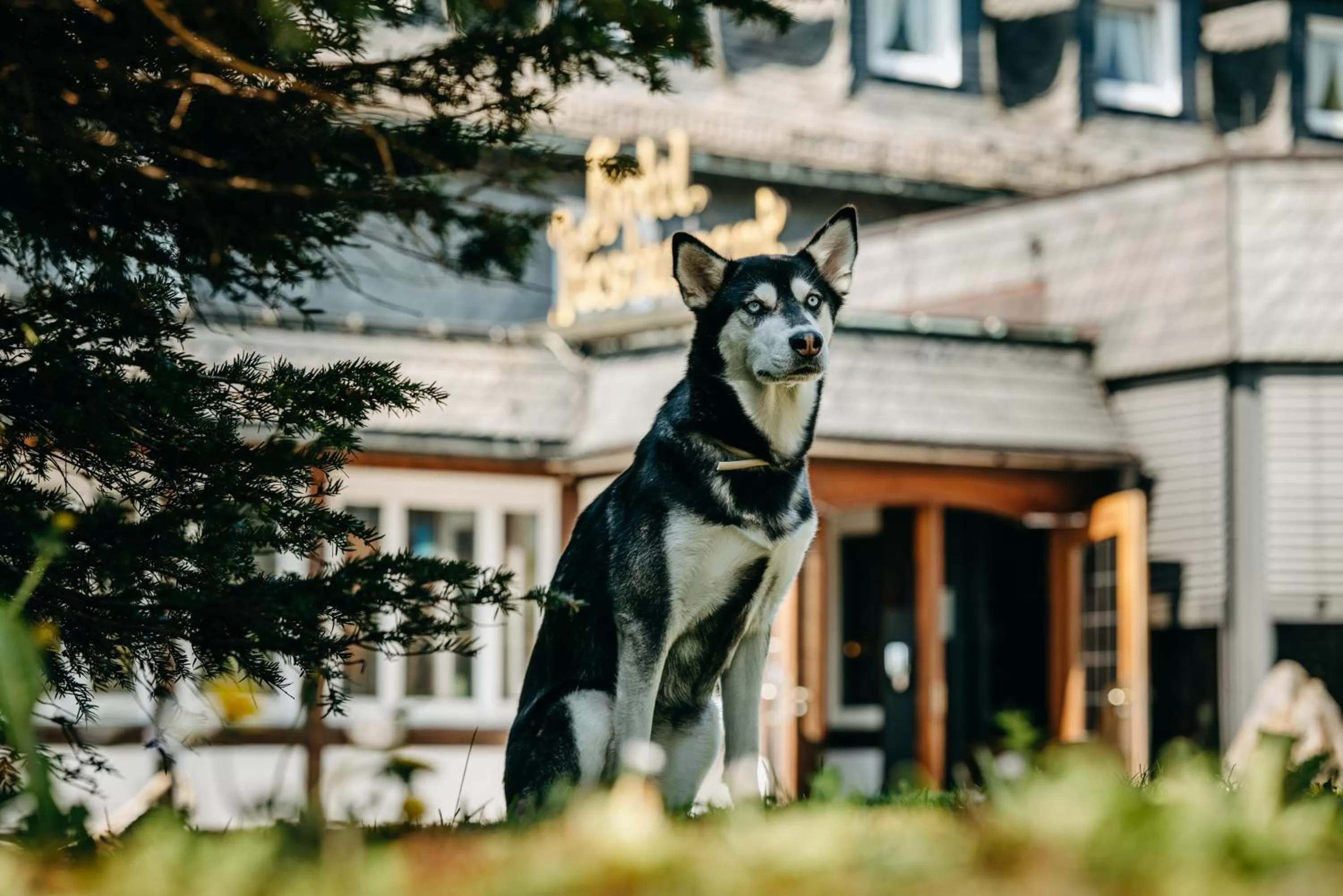 Day in Romantik Berghotel Astenkrone