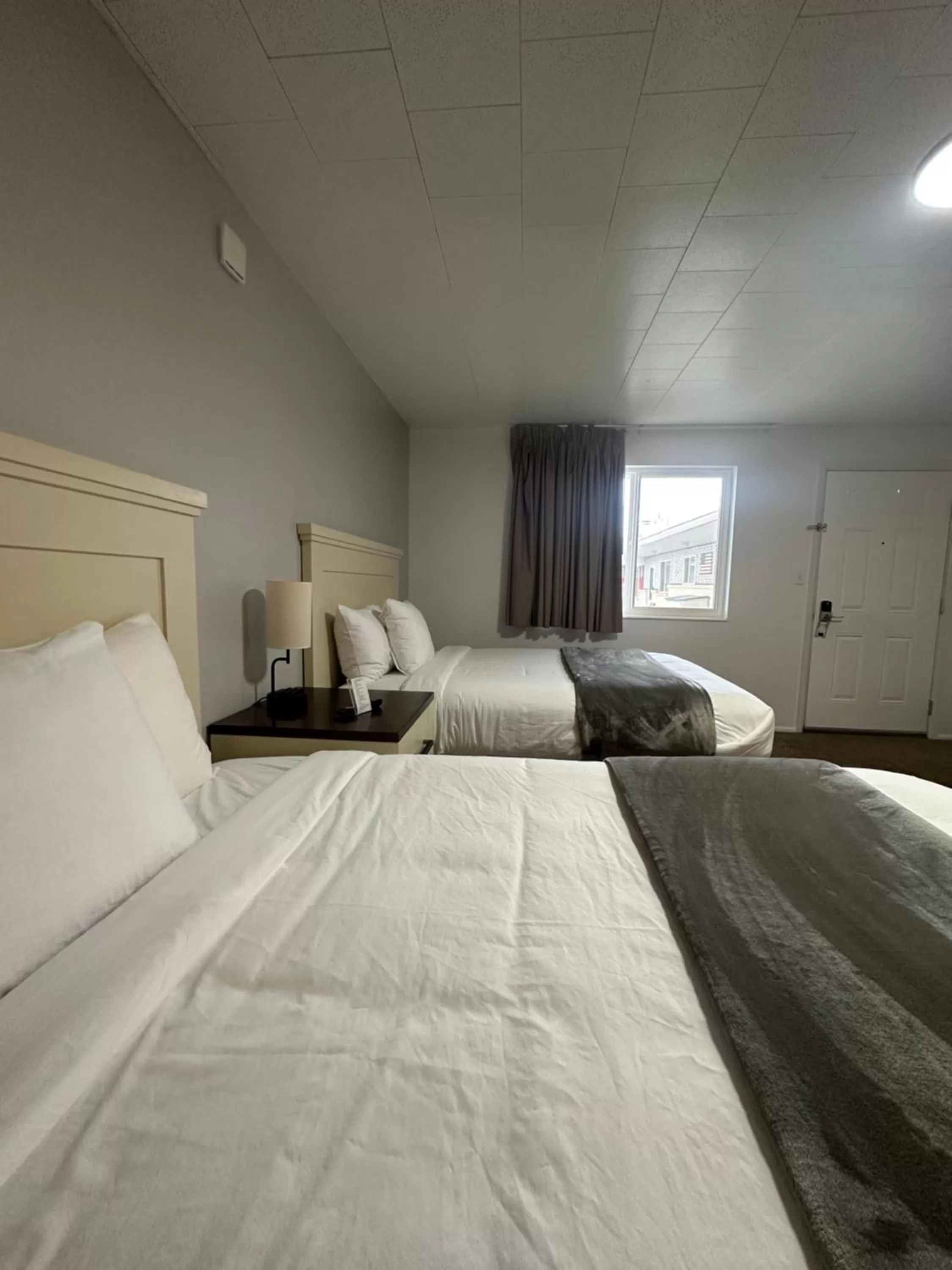 Bed in Fossil Butte Motel