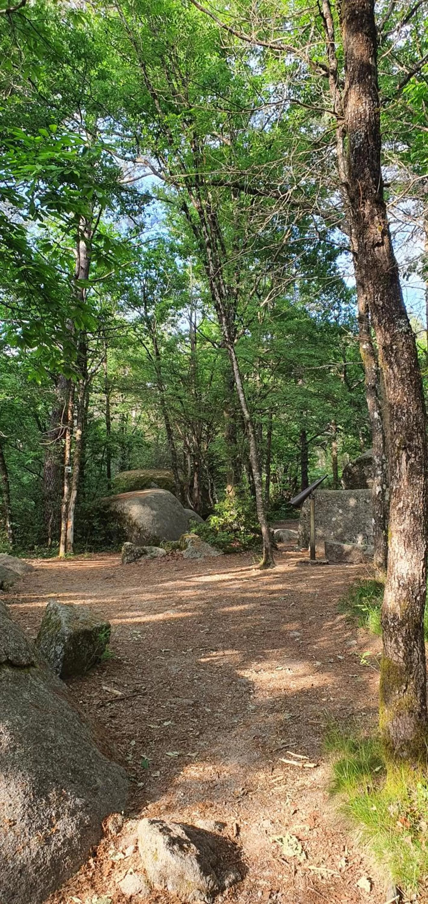 Spring in A l'Ecole Buissonnière, chambre d'hôtes en Sidobre