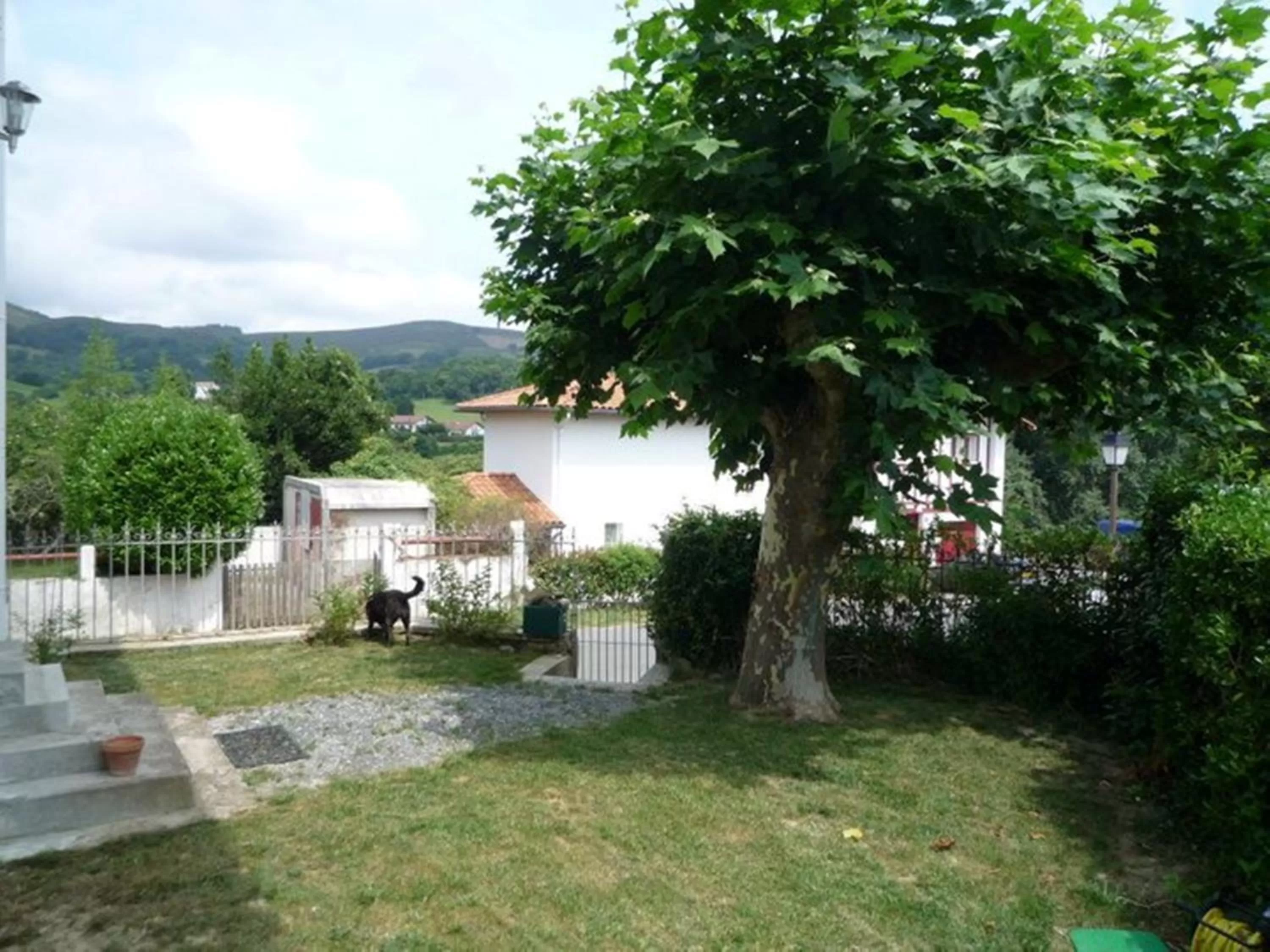 Garden in Chalet Elisa Chambre d'Hôtes