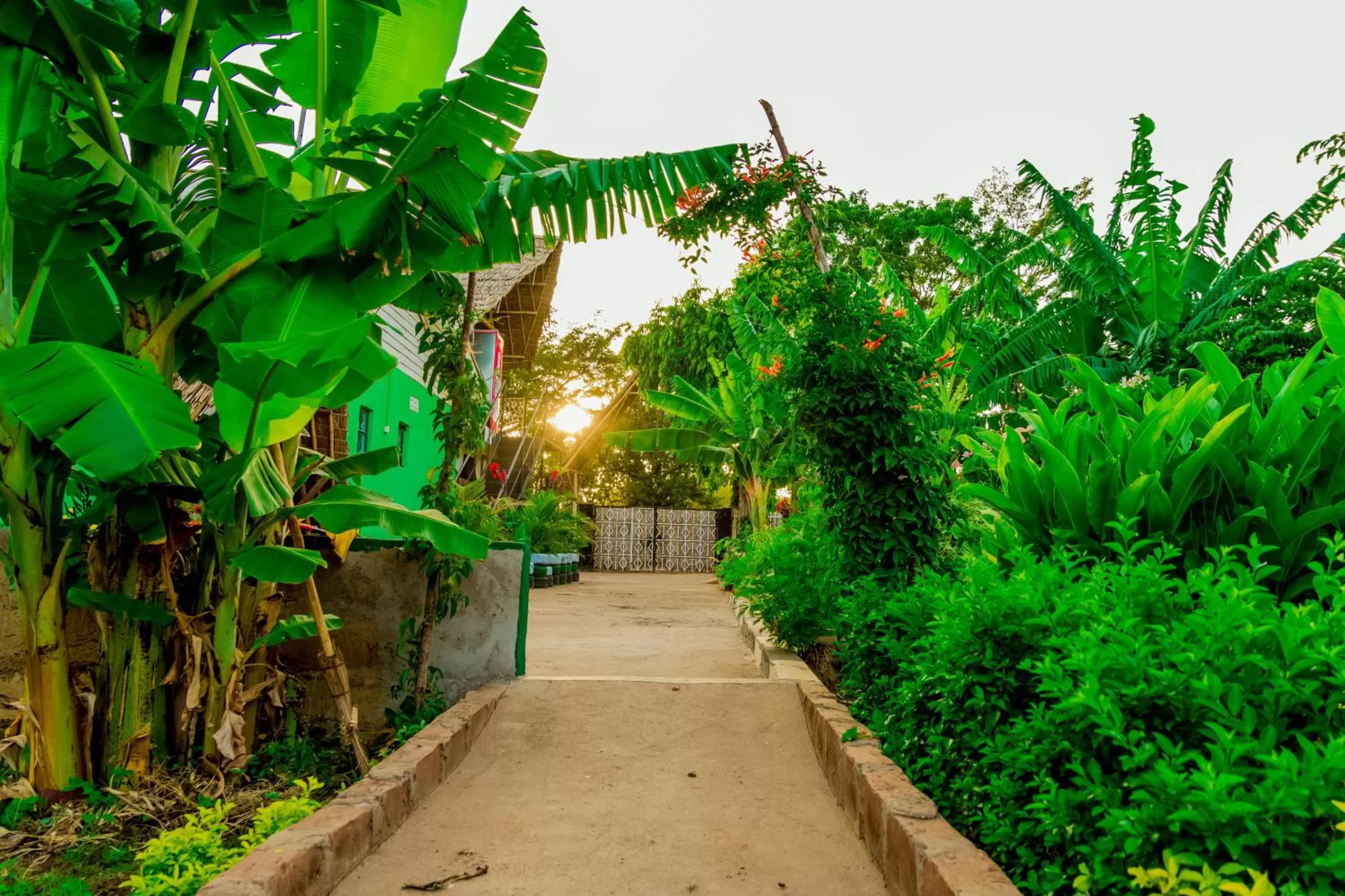 Garden in Royal Wonders Hotel