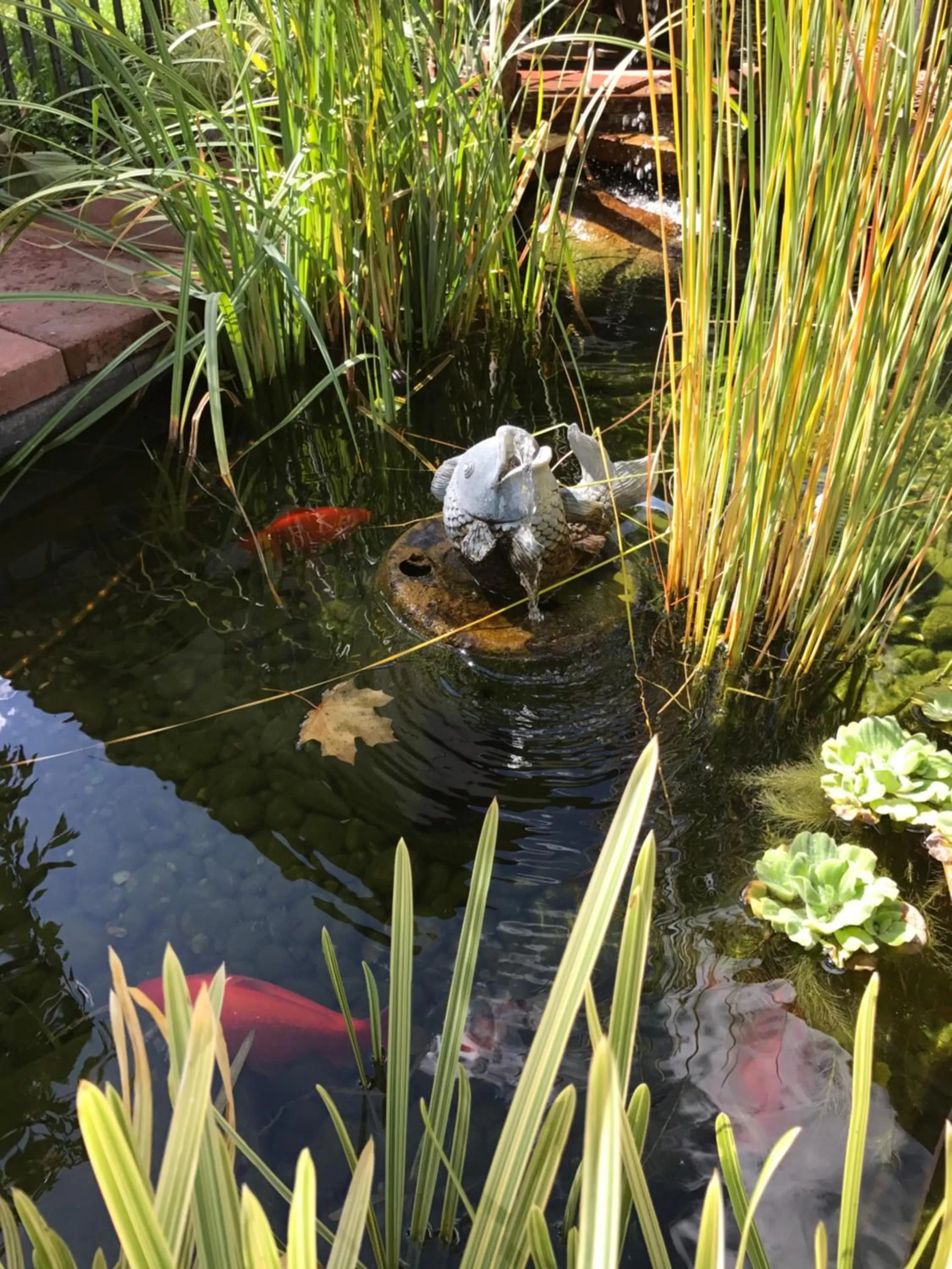 Facade/entrance, Other Animals in Downtown B&B with Jacuzzi