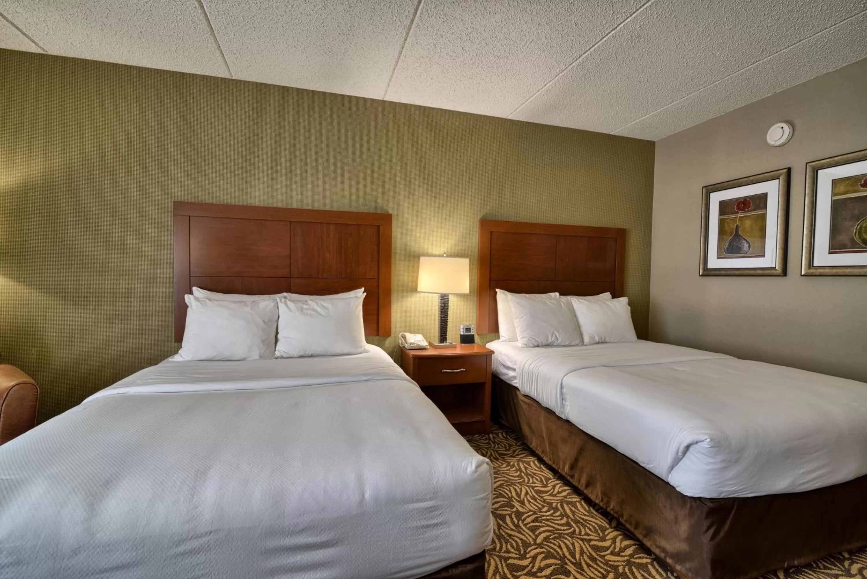 Bed in Clarion Inn & Suites Cortland - University Area