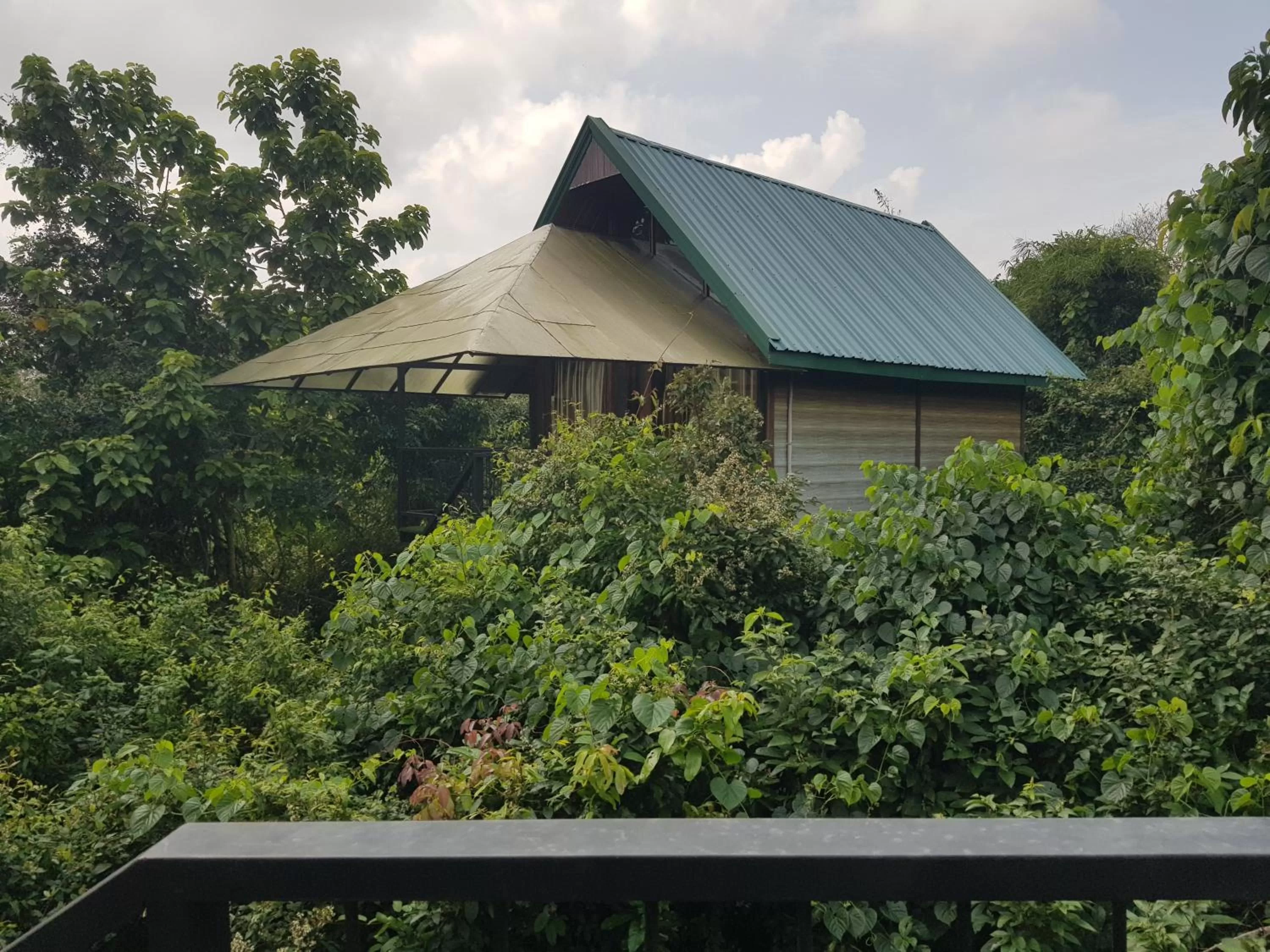 Garden view in Nice Place Resort