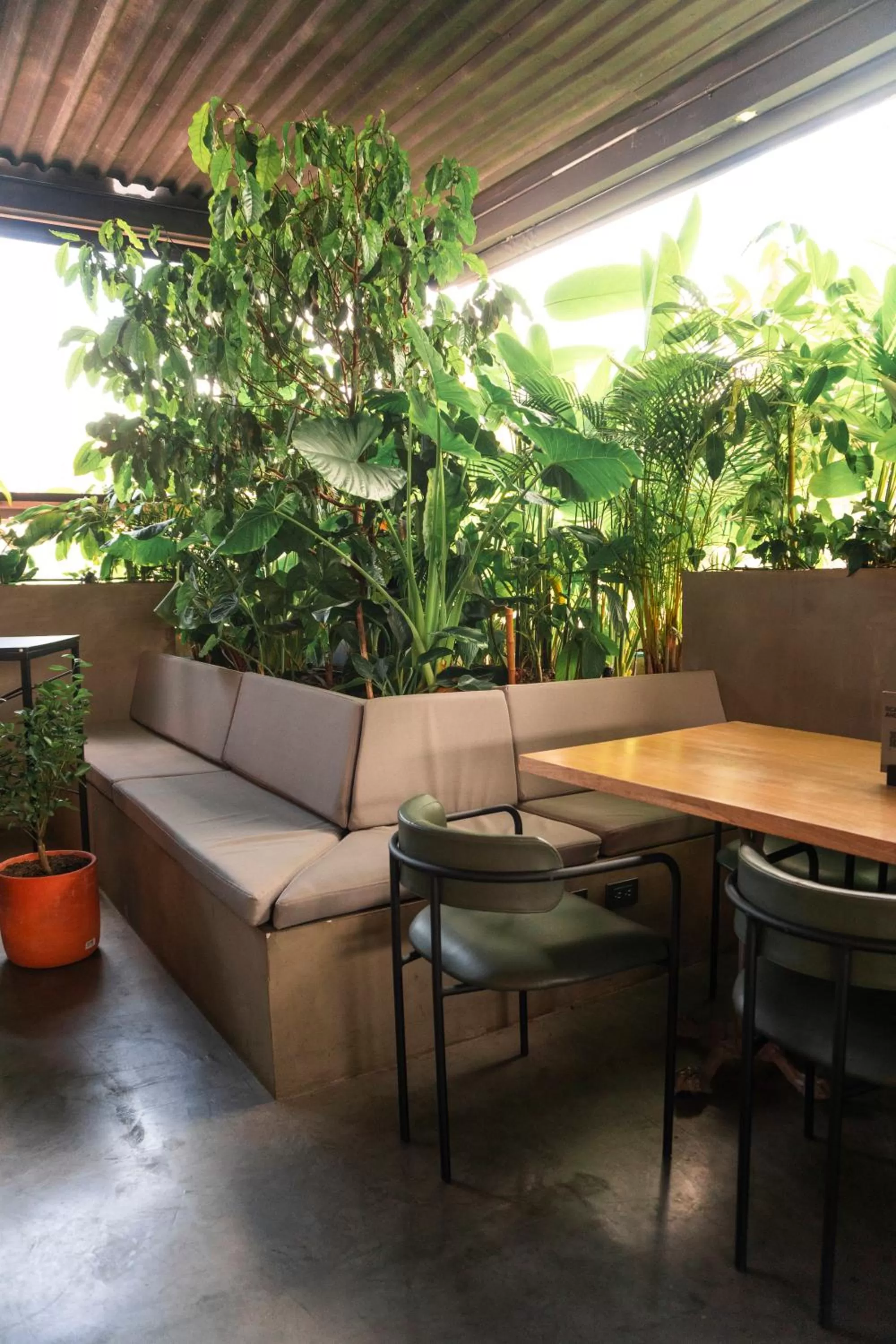 Restaurant/places to eat in The Art Hotel Medellin