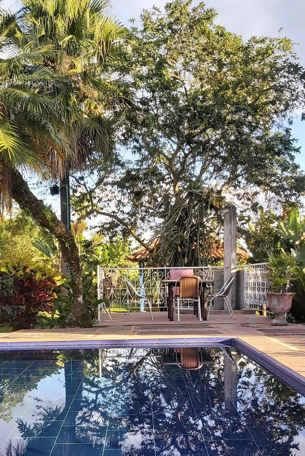 Pool view, Swimming Pool in Balsora Hotel Boutique