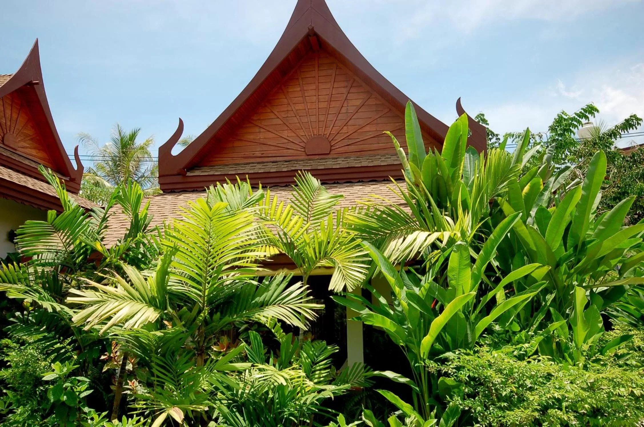 Natural landscape in Ayara Villas - SHA Extra Plus