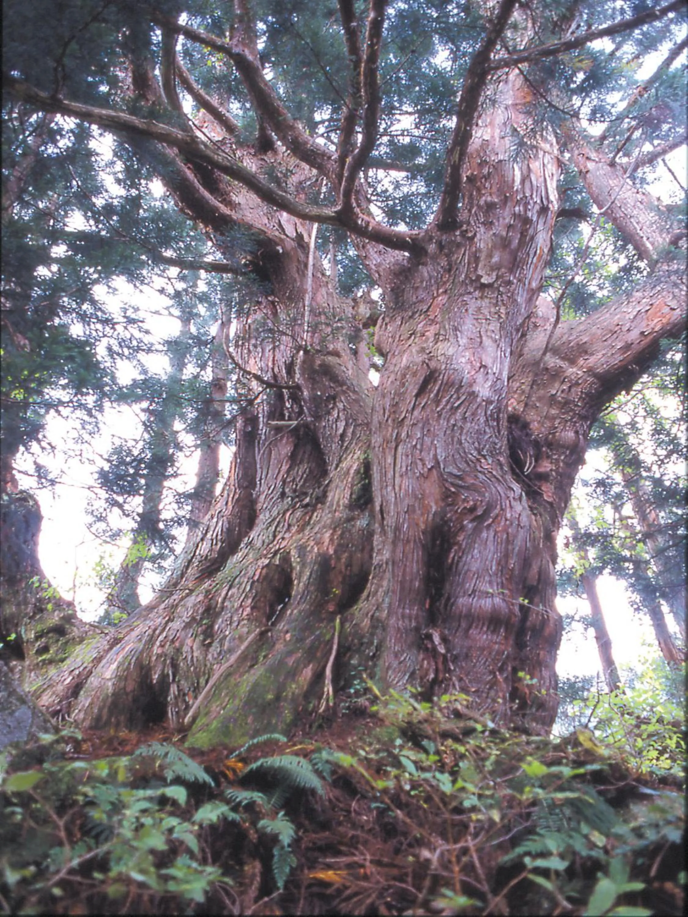 Nearby landmark in APA Hotel Uozu Ekimae