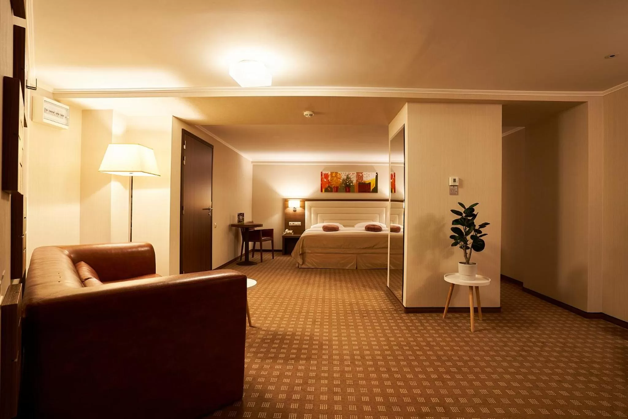 Photo of the whole room in Petrodava ONE