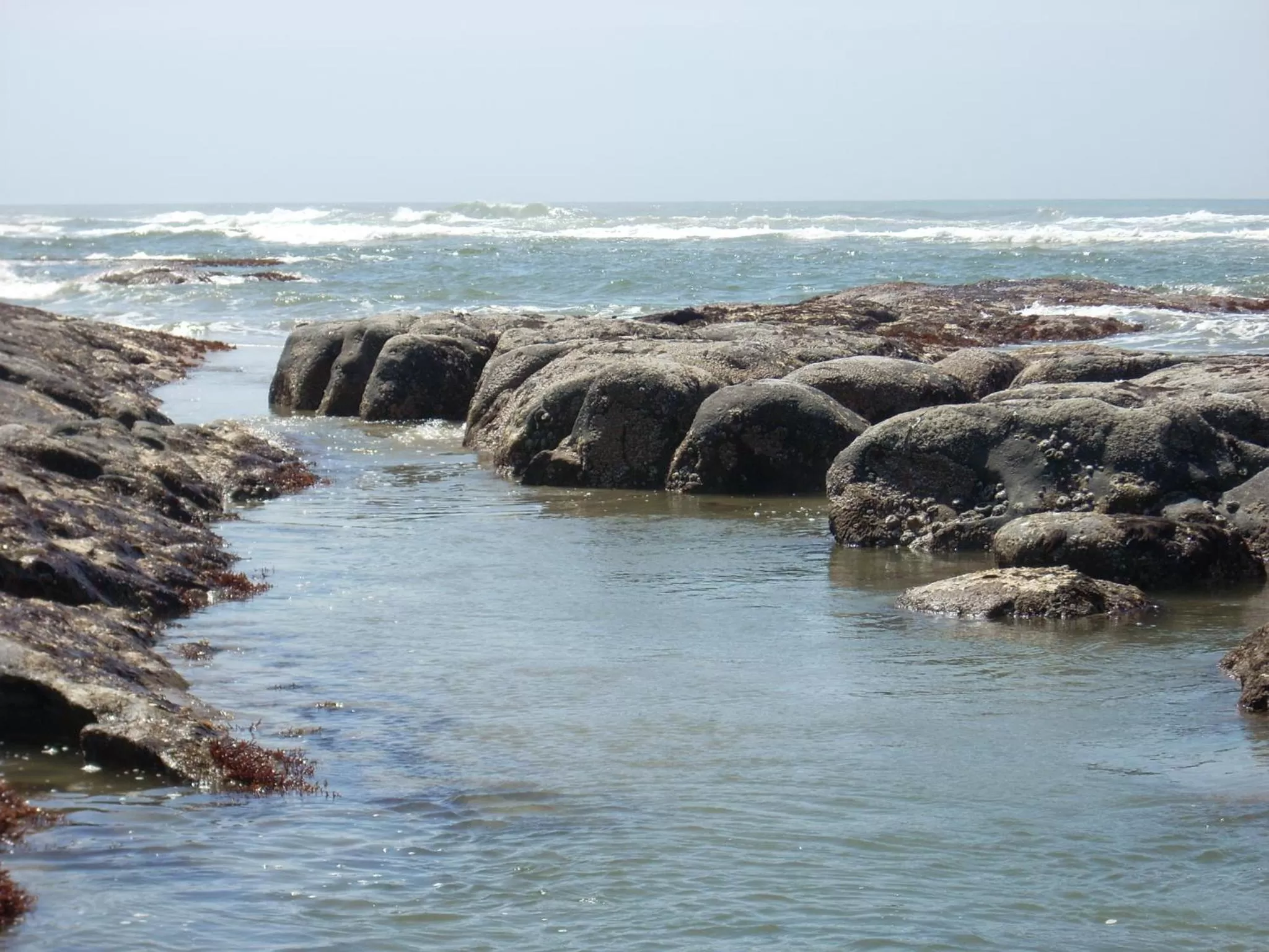 Sea view in Silver Surf Motel