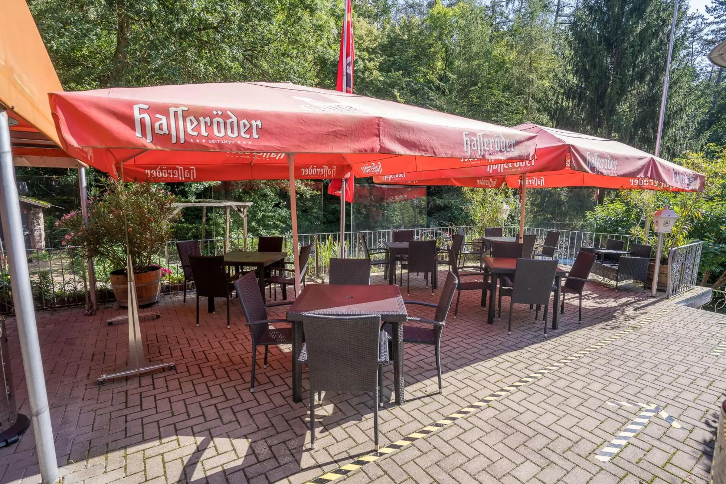 Patio, Restaurant/Places to Eat in Waldgaststätte Sennhütte